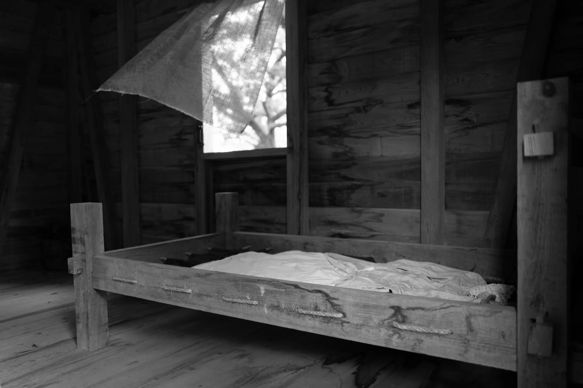L1001437.jpg
