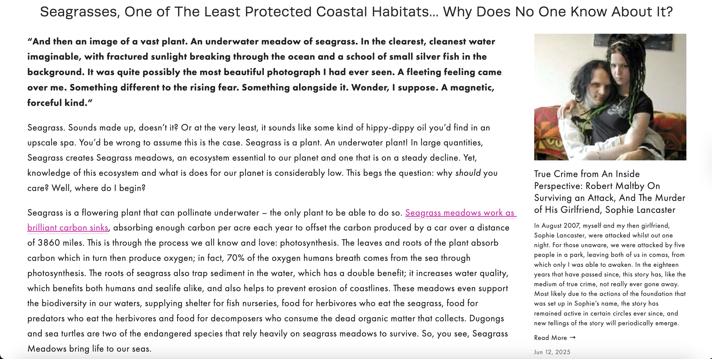 Screenshot 2025-07-20 at 12.13.28.png