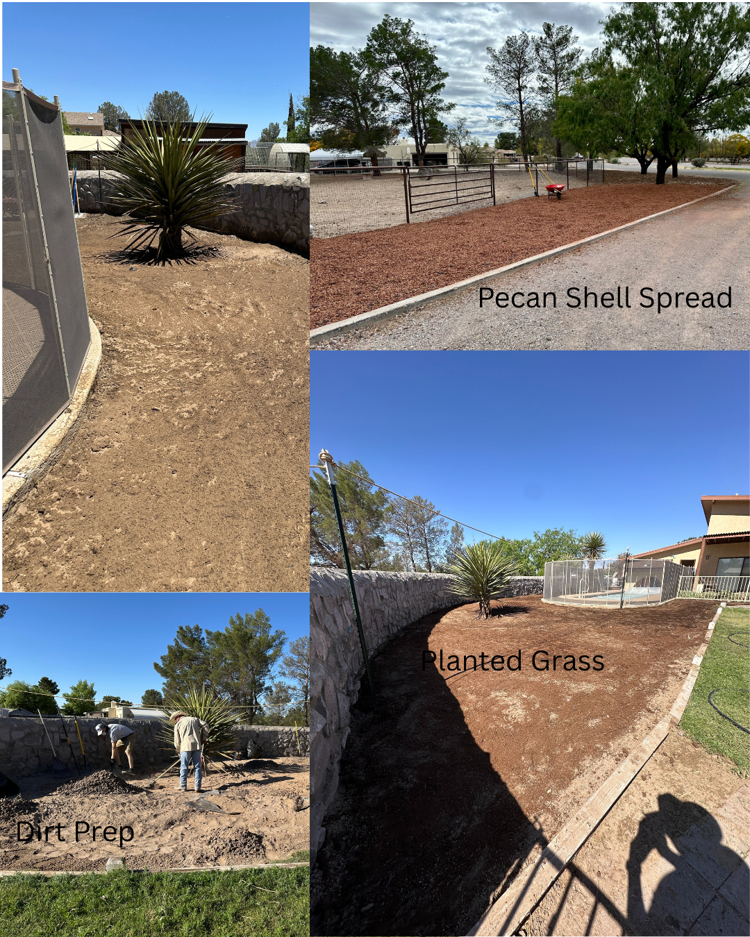 Sequence of photos showing the process of landscaping a backyard with a desert plant, laying pecan shell spread mulch, planting grass, and doing dirt preparation with workers.
