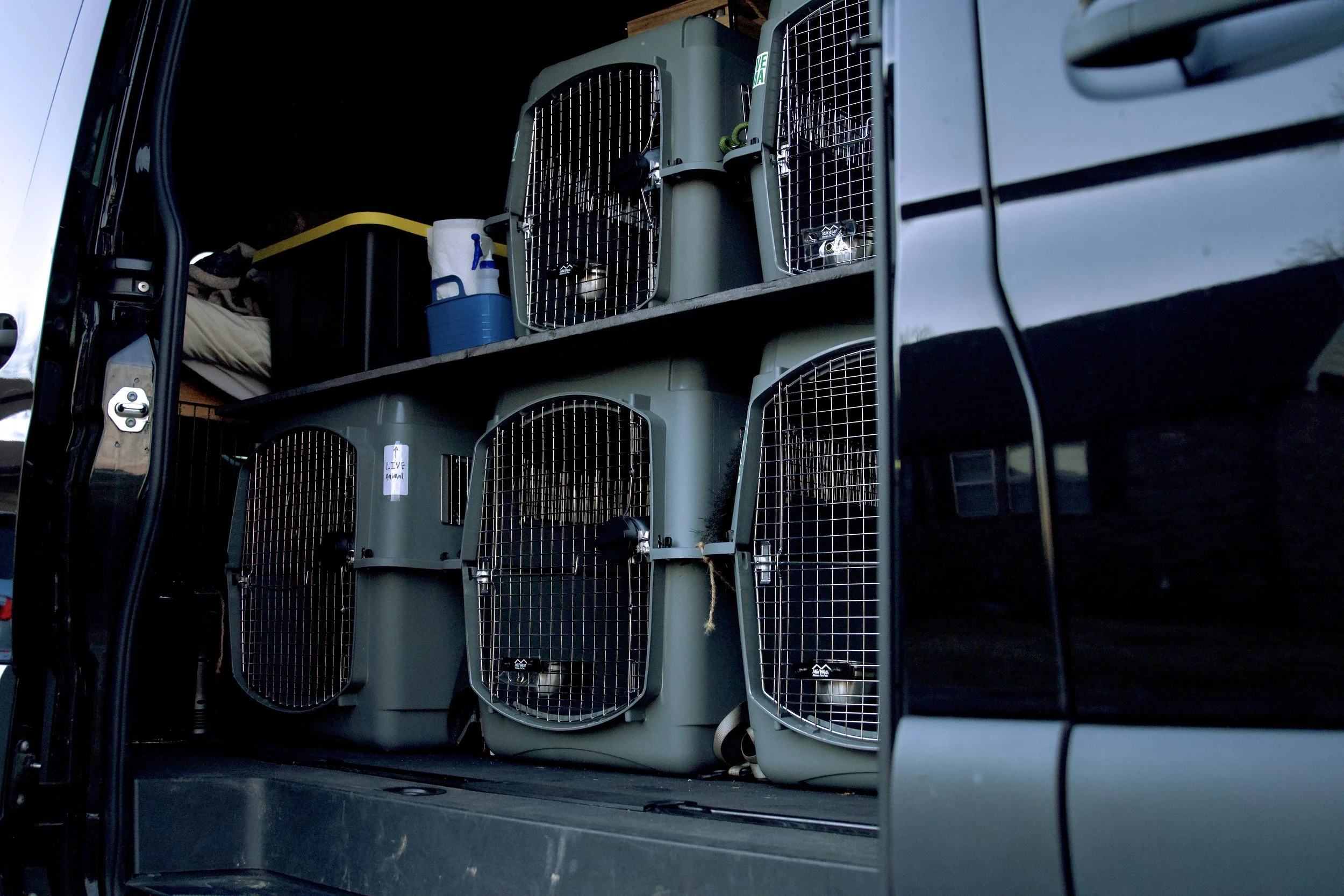 Our largest crate is 48" across and 33" tall for your large-breed dog. All other crates are series 400 (top 2) and series 500 (bottom 3).