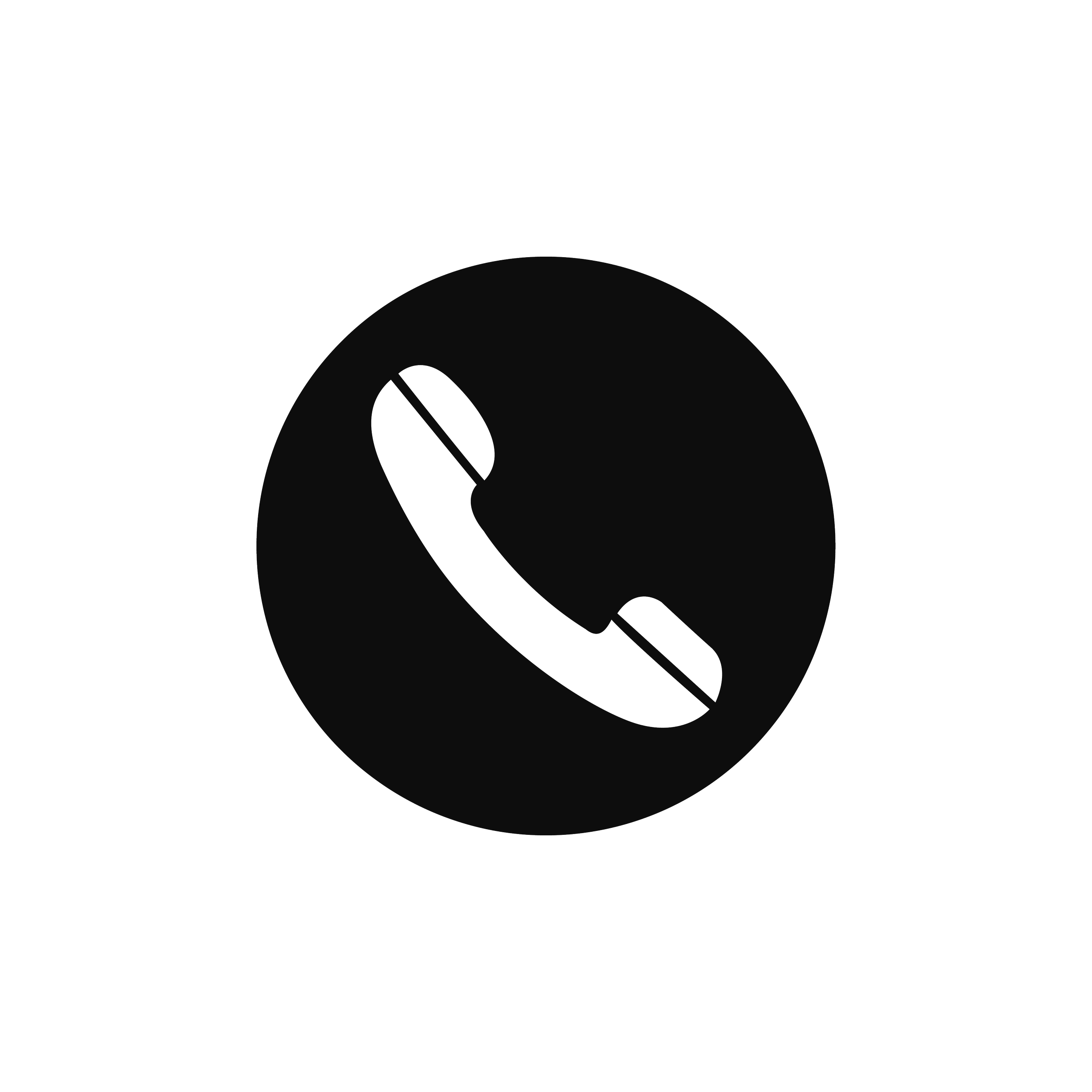Icon of a phone receiver inside a circle