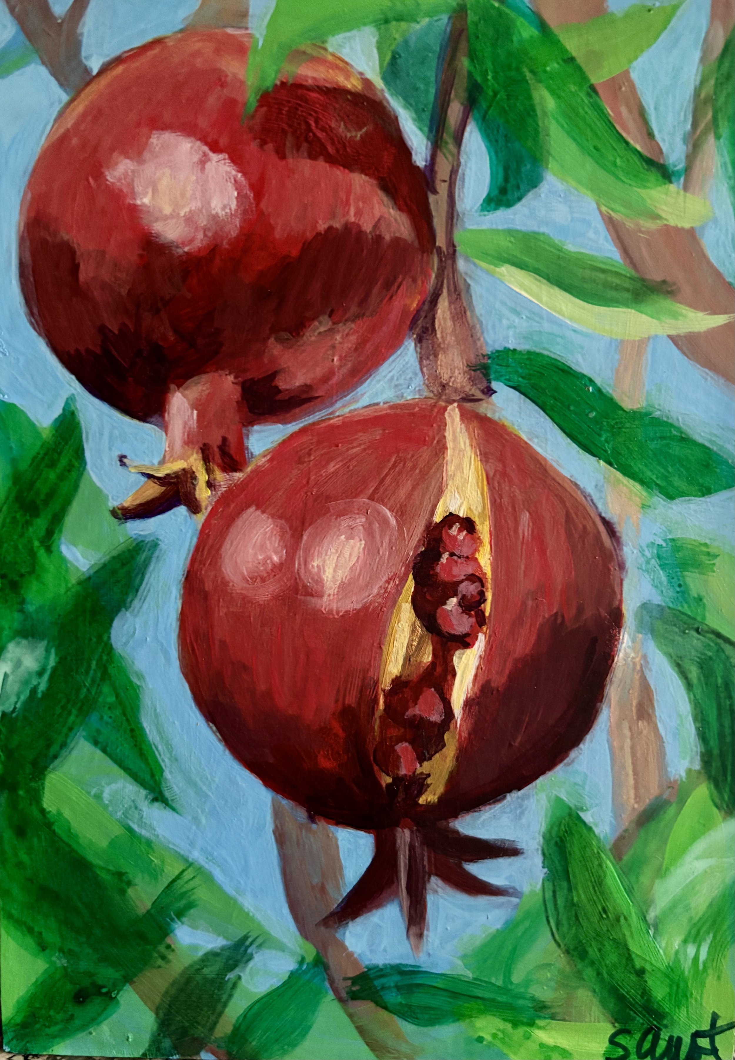 Pomegranate Tree 6x8