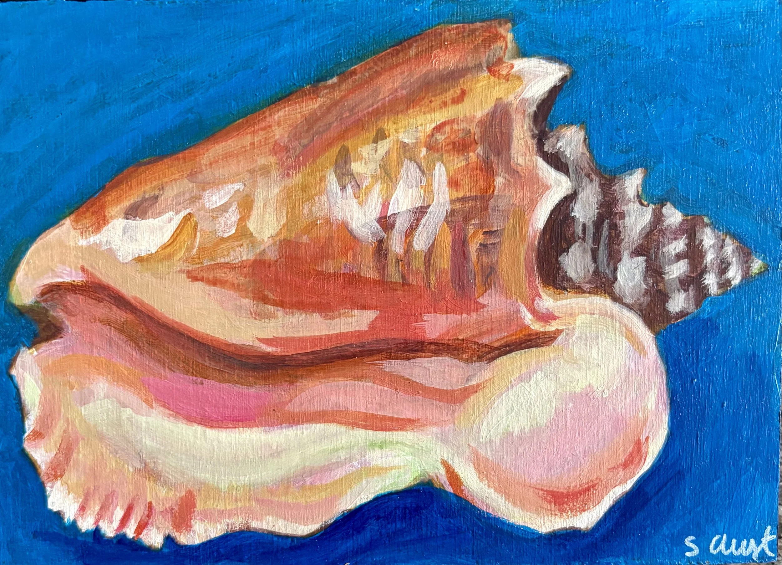 Shell 5x7