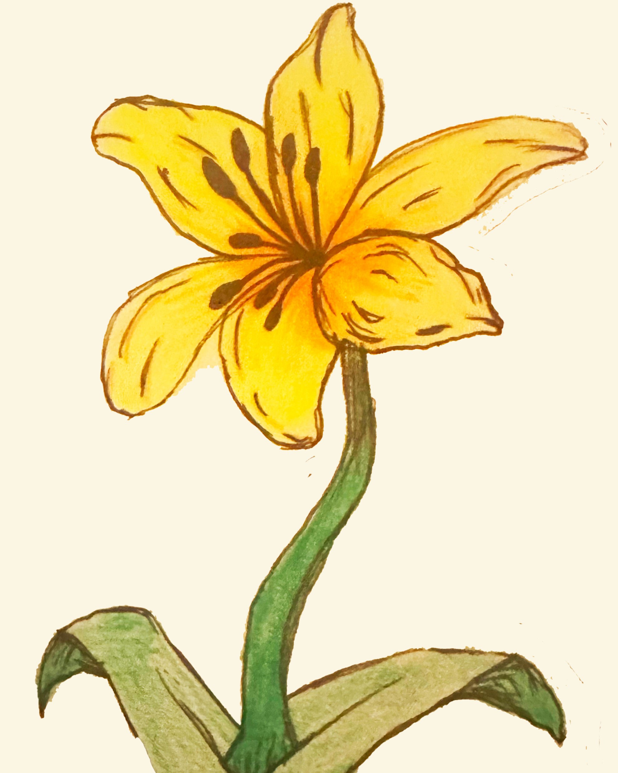 Flower hand drawn using colored pencils on sketchbook paper