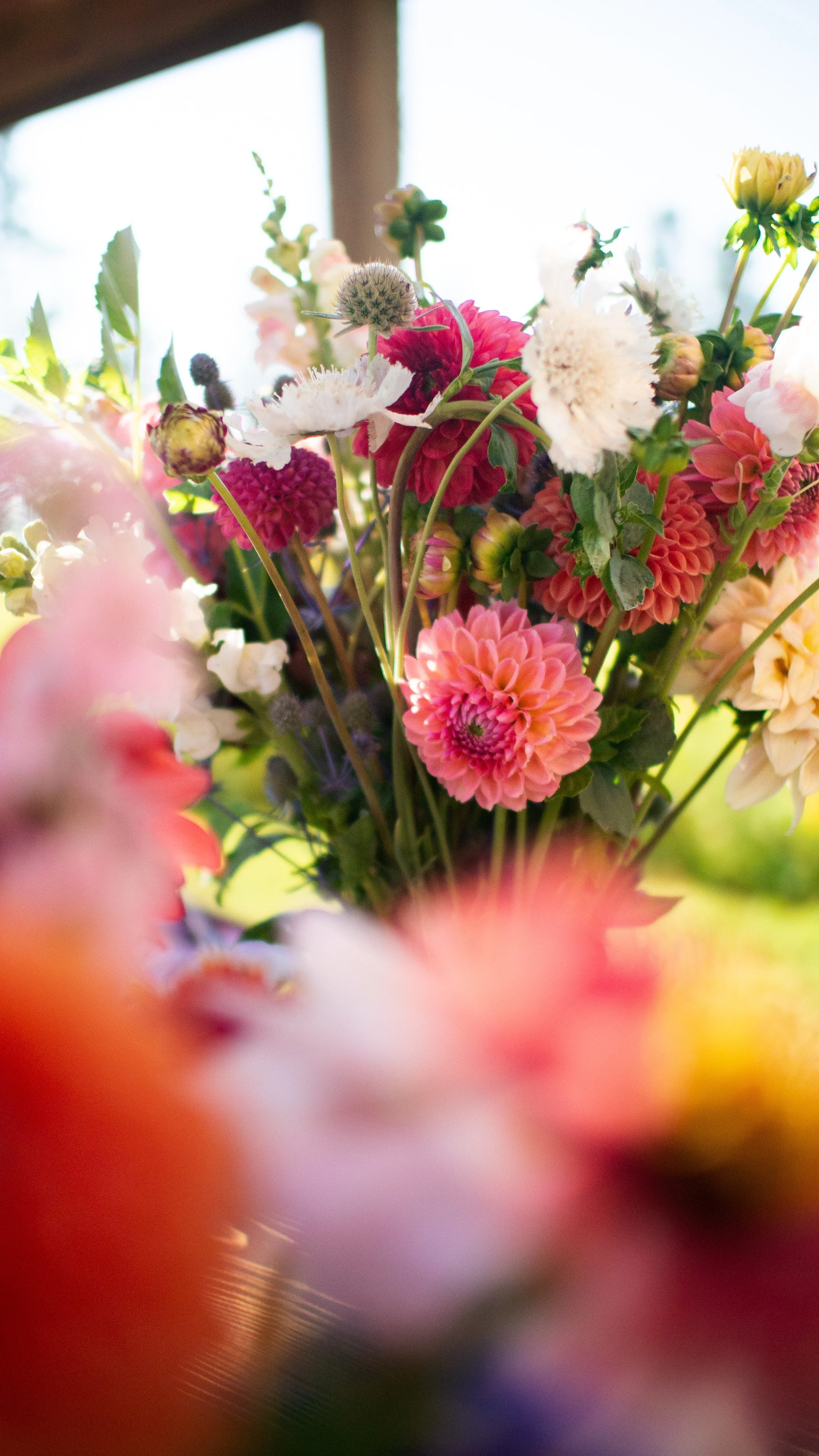 Close-up of a colorful bouquet of various flowers, including dahlias, in natural light near a window.