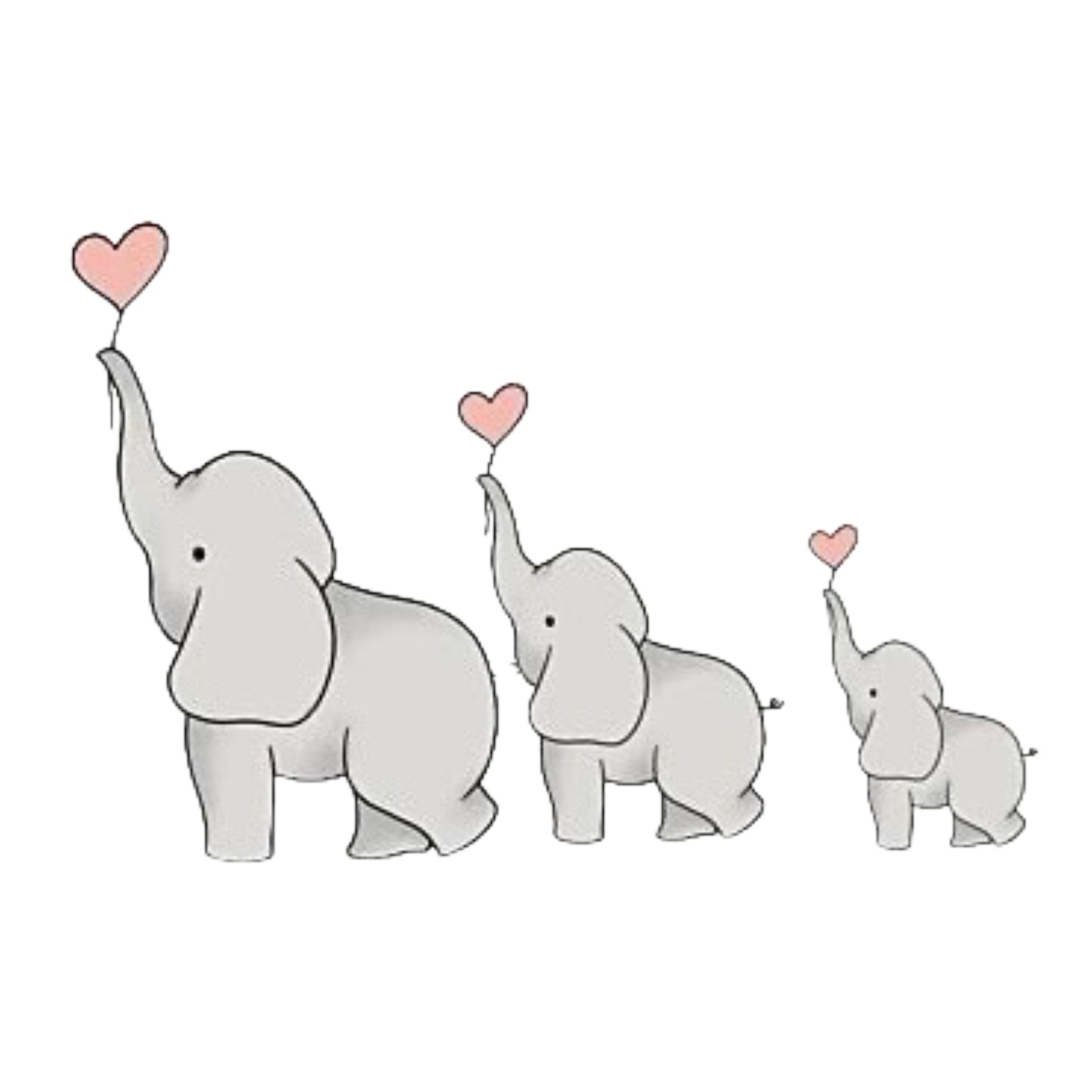 C0ABB37E-F199-4BA2-A36C-D3DAD46AB629.png