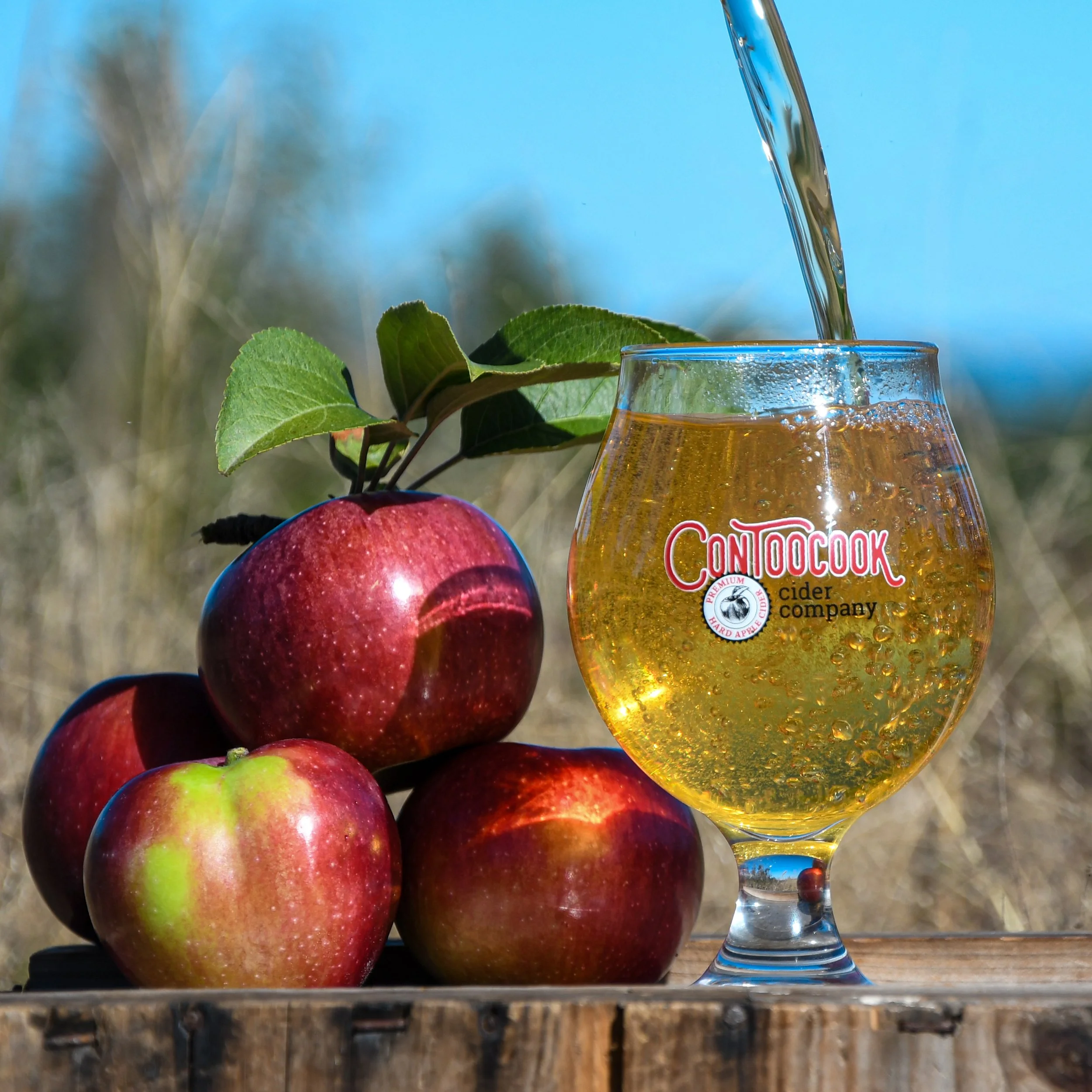 Ciders-4.jpg
