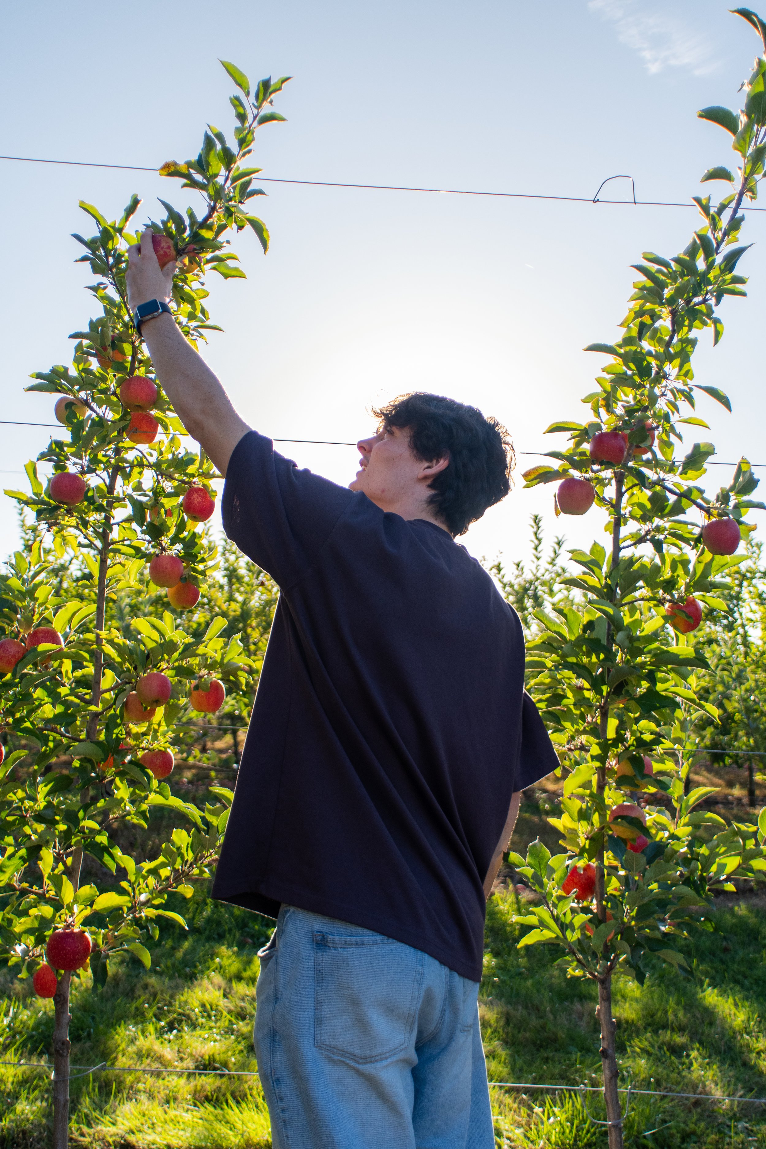 ApplePicking-3.jpg
