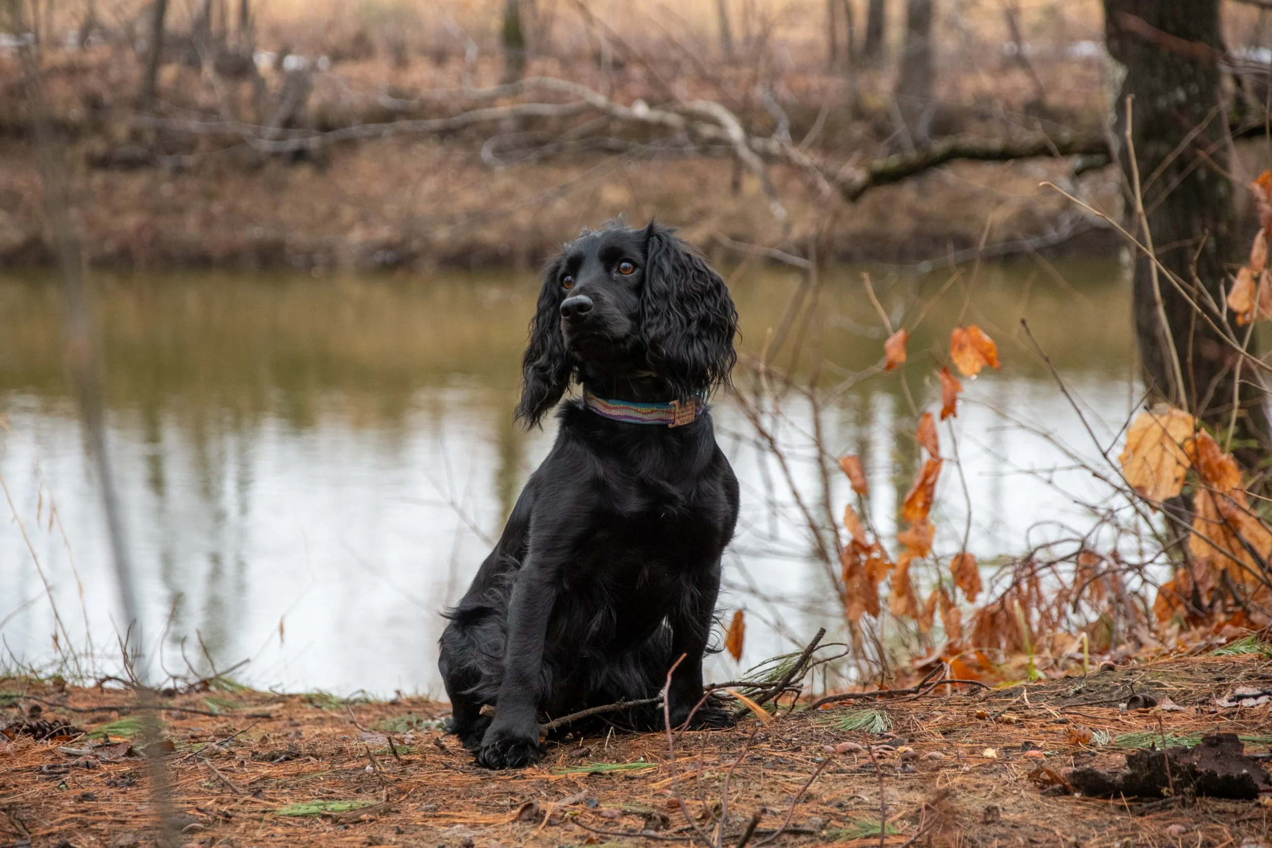 Bergeron Headshots-54.jpg