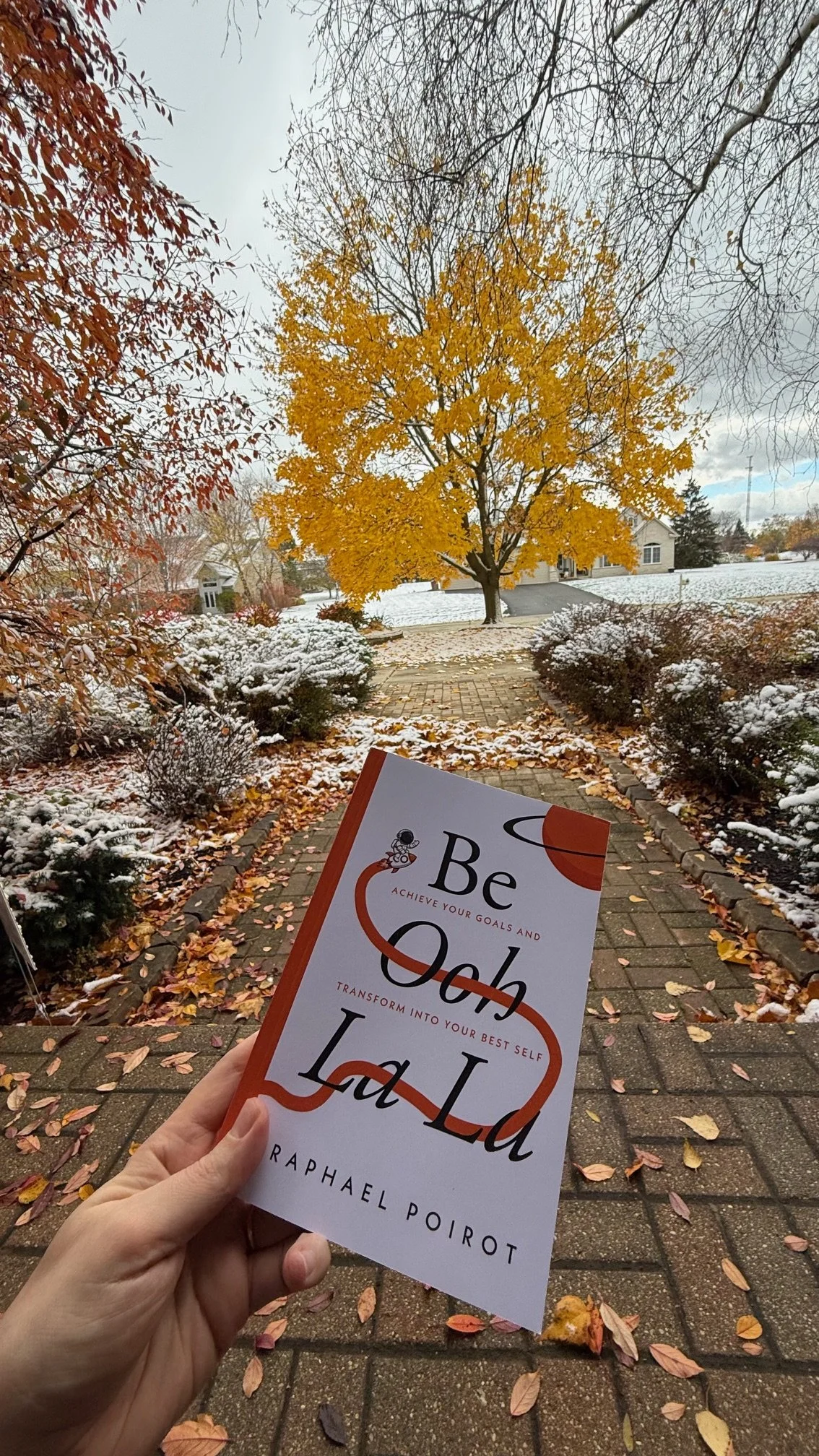 Early Winter Chicago