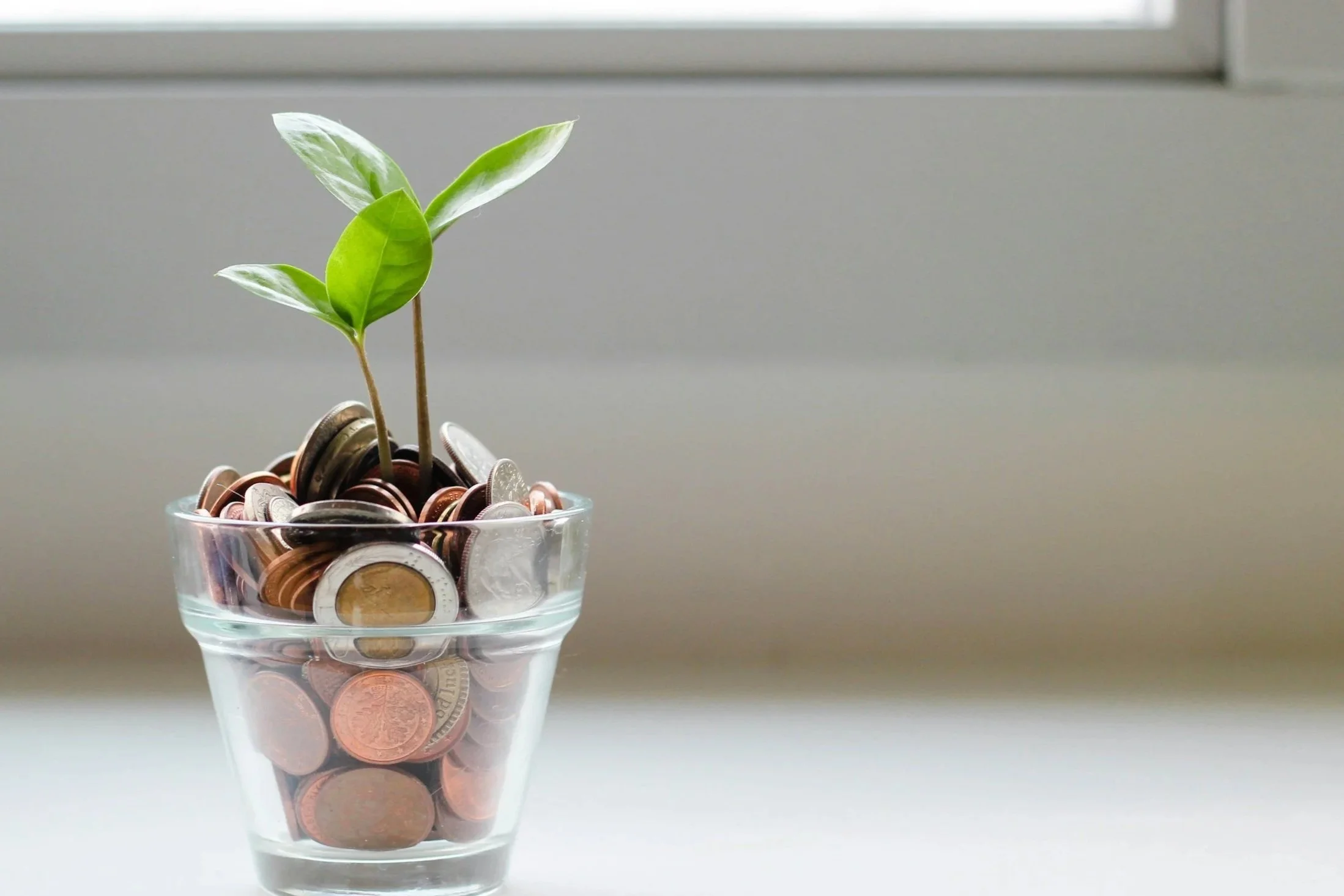 A small plant growing in a glass container filled with various coins, with a blurred neutral background.