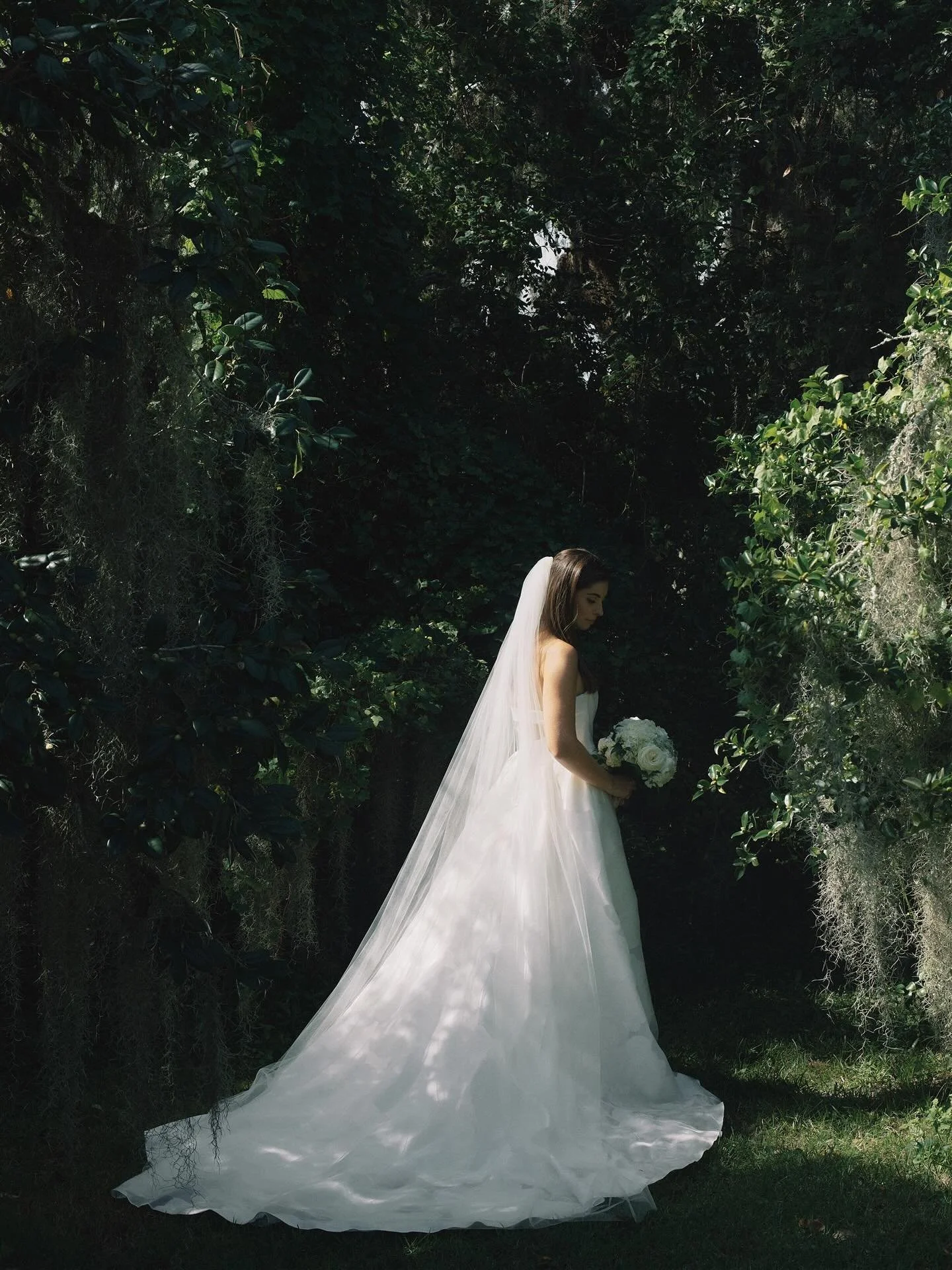 A few favorites from Abbey&rsquo;s STUNNING bridal portraits at @legare_waring_house