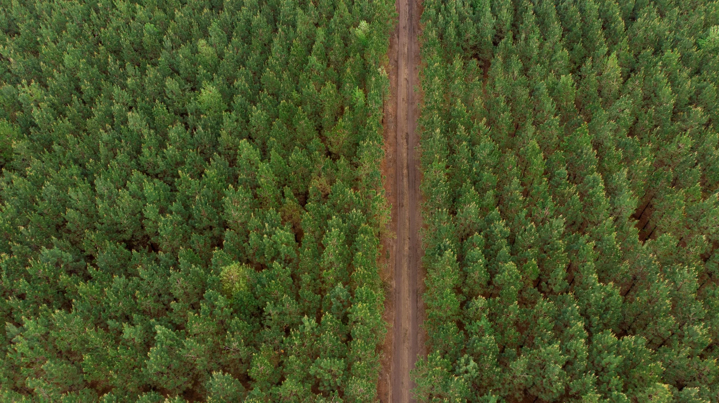 DJI_0825.jpg