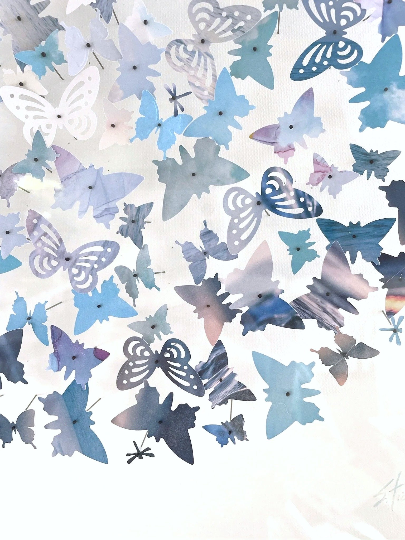 sherri-tichner-butterfly-art-butterfly-detail-blue.jpg