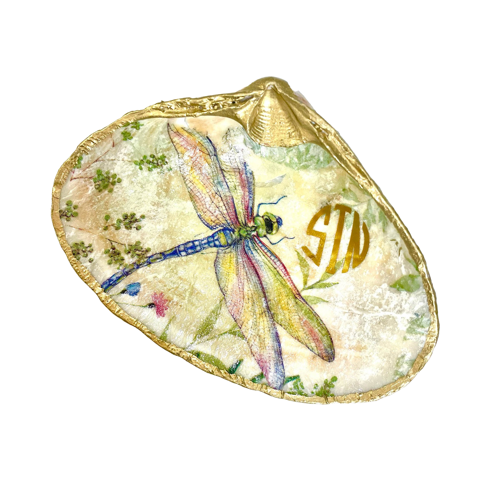 dragonfly-shell.png