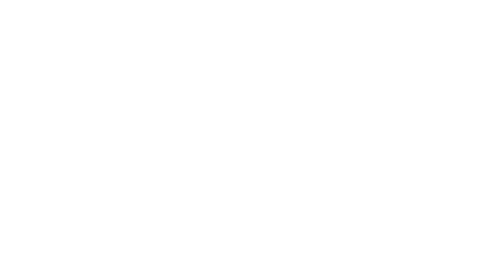 zoe jet guitars