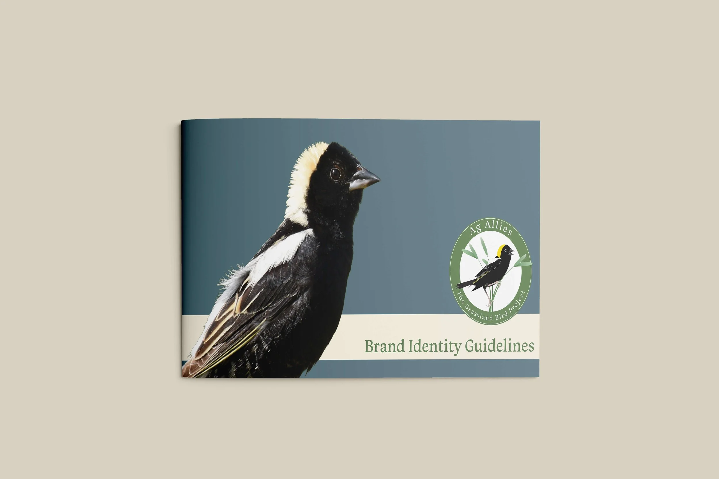 A mockup of the Ag Allies Brand Identity Guide booklet cover featuring a photo of a bobolink and the organization's logo