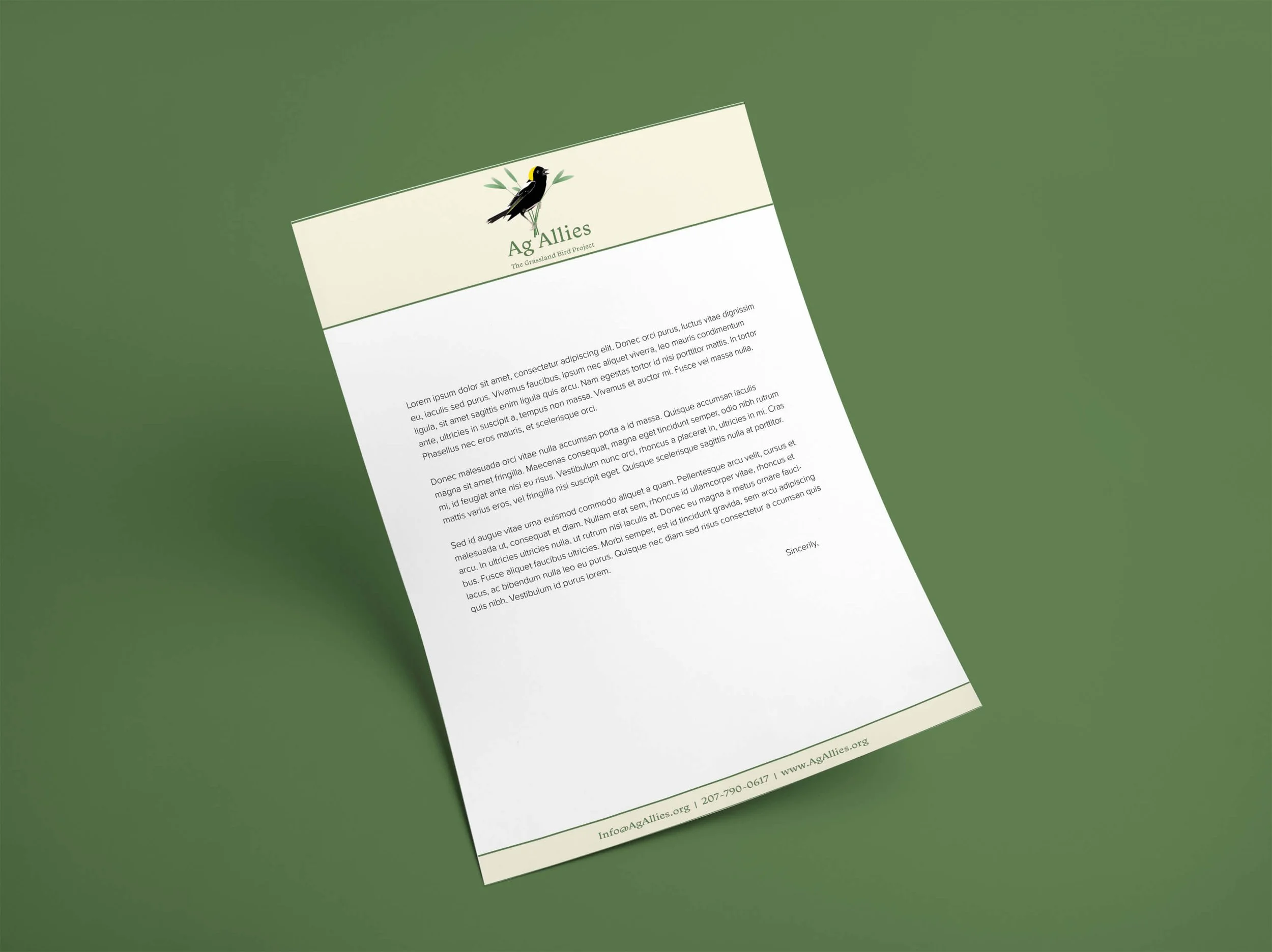 A third letterhead option