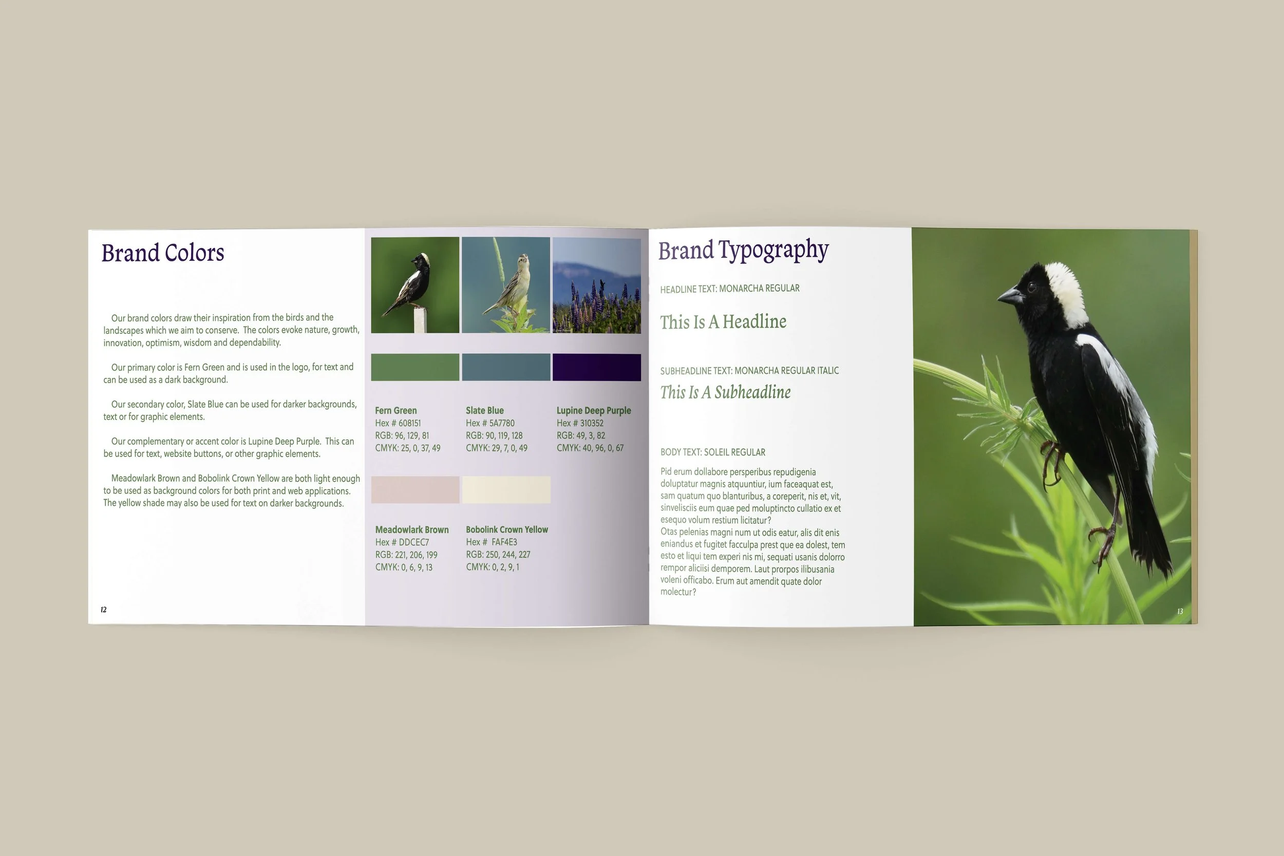 A mockup of 2 pages of the Brand Identity Guide booklet for Ag Allies featuring the brand colors and typography