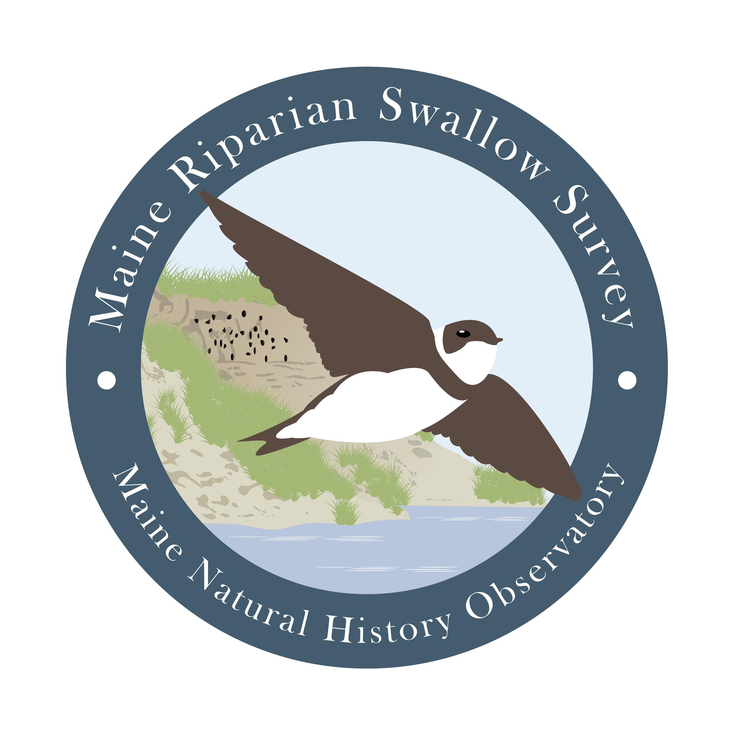 Riparian Swallow Logo