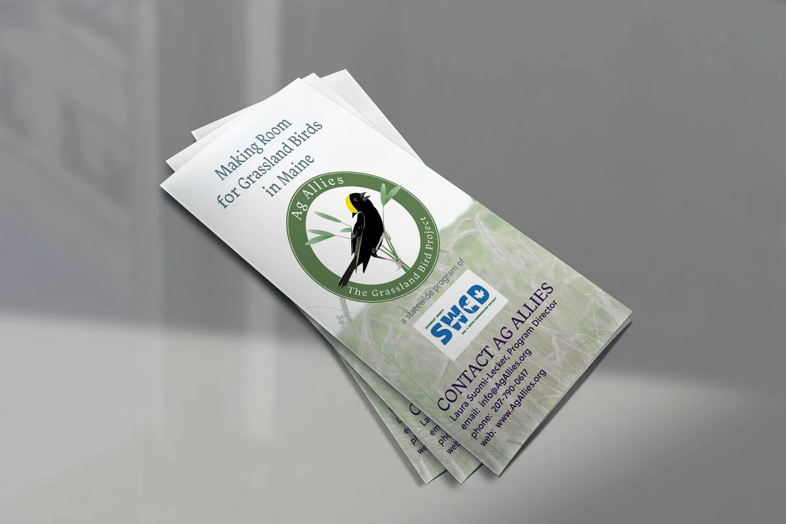 Tri-fold pamphlet on grassland birds
