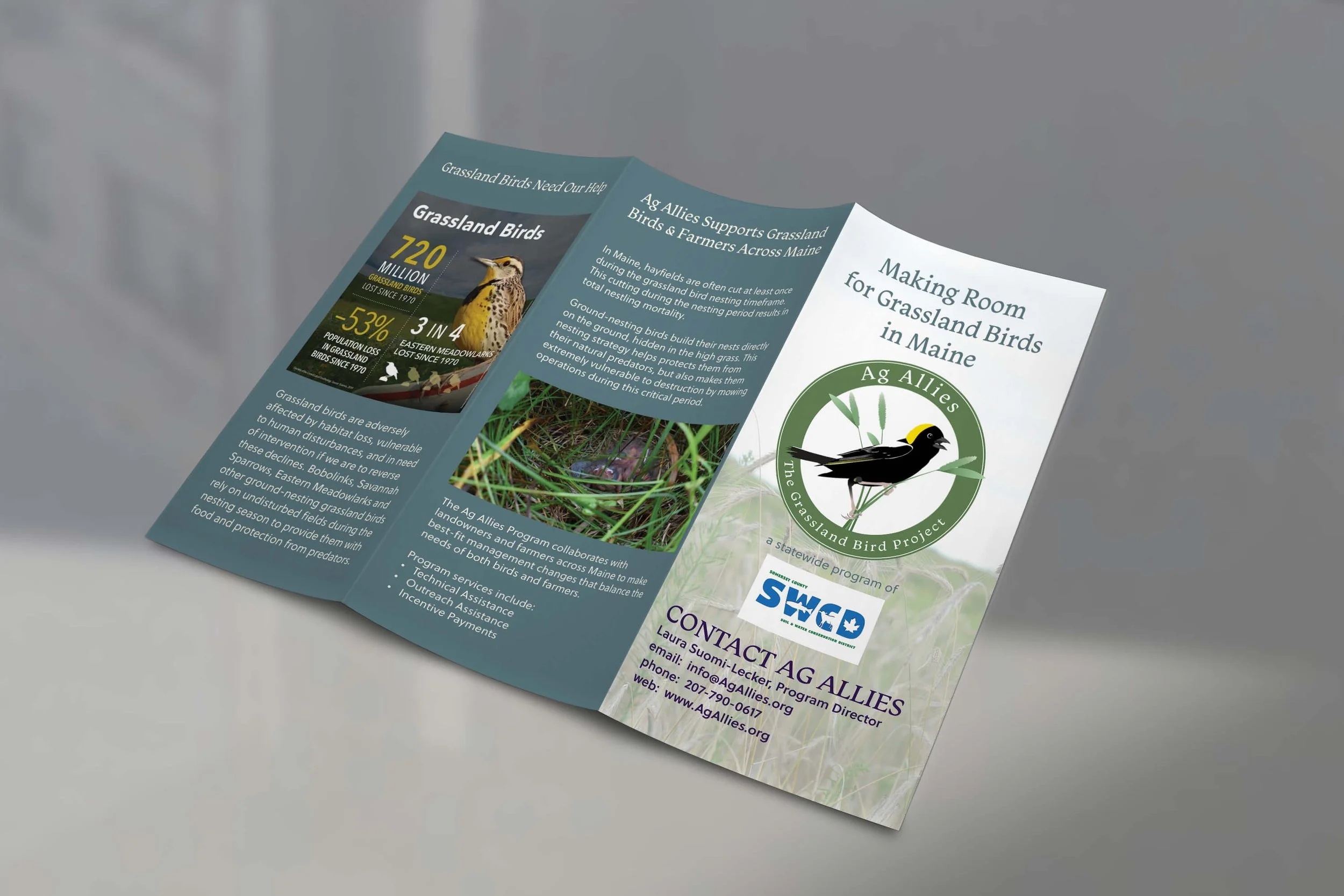 Outside pages of tri-fold pamphlet