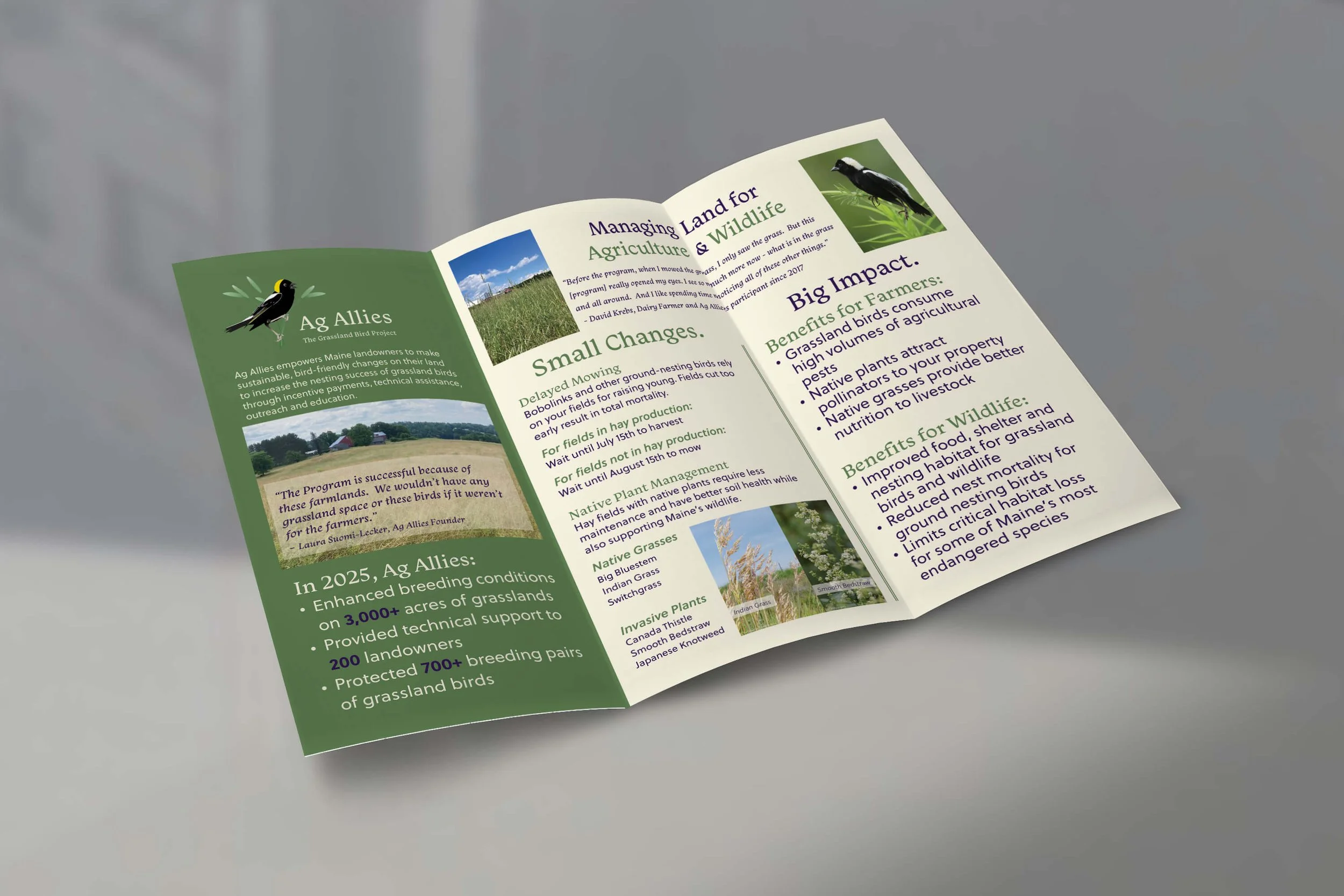 The inside of the landowner tri-fold brochure