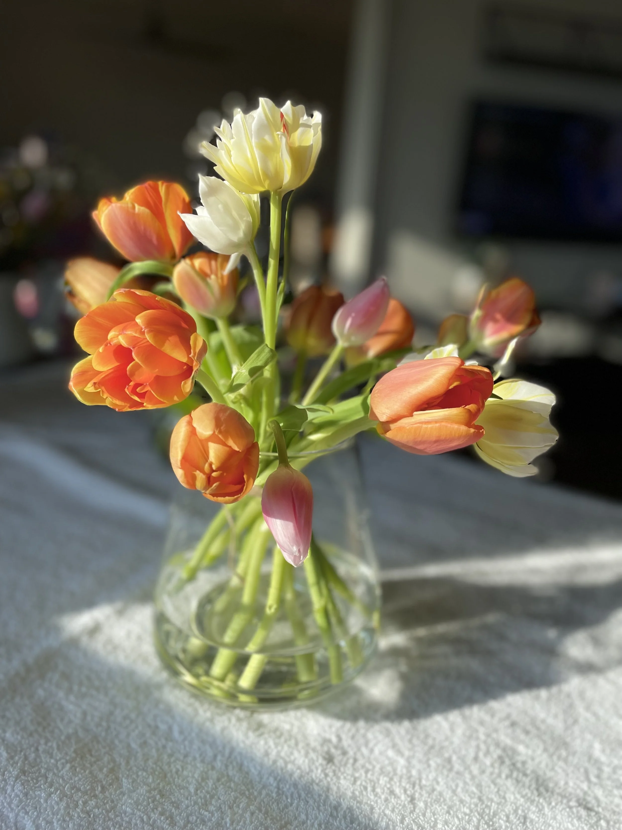 A small glass vase with tulips in shades of orange, pink, yellow, and white sitting on a textured white surface with sunlight illuminating the flowers.