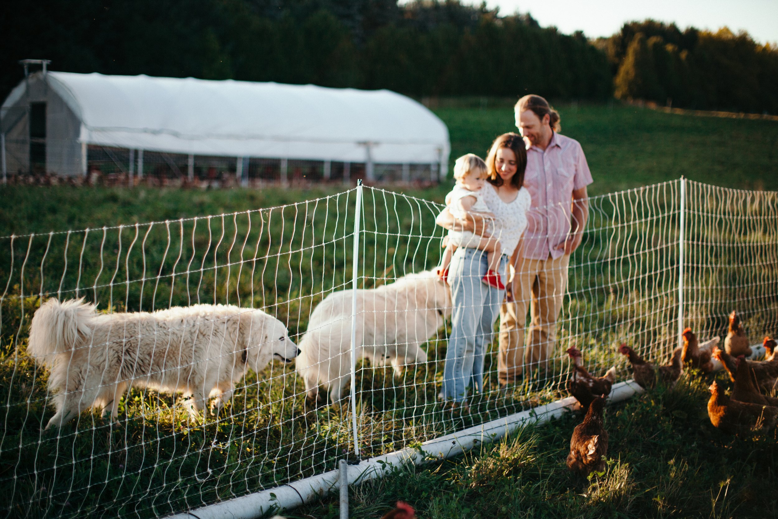 Back to the (Farming) Future: Q&amp;A with Three Brothers Farm