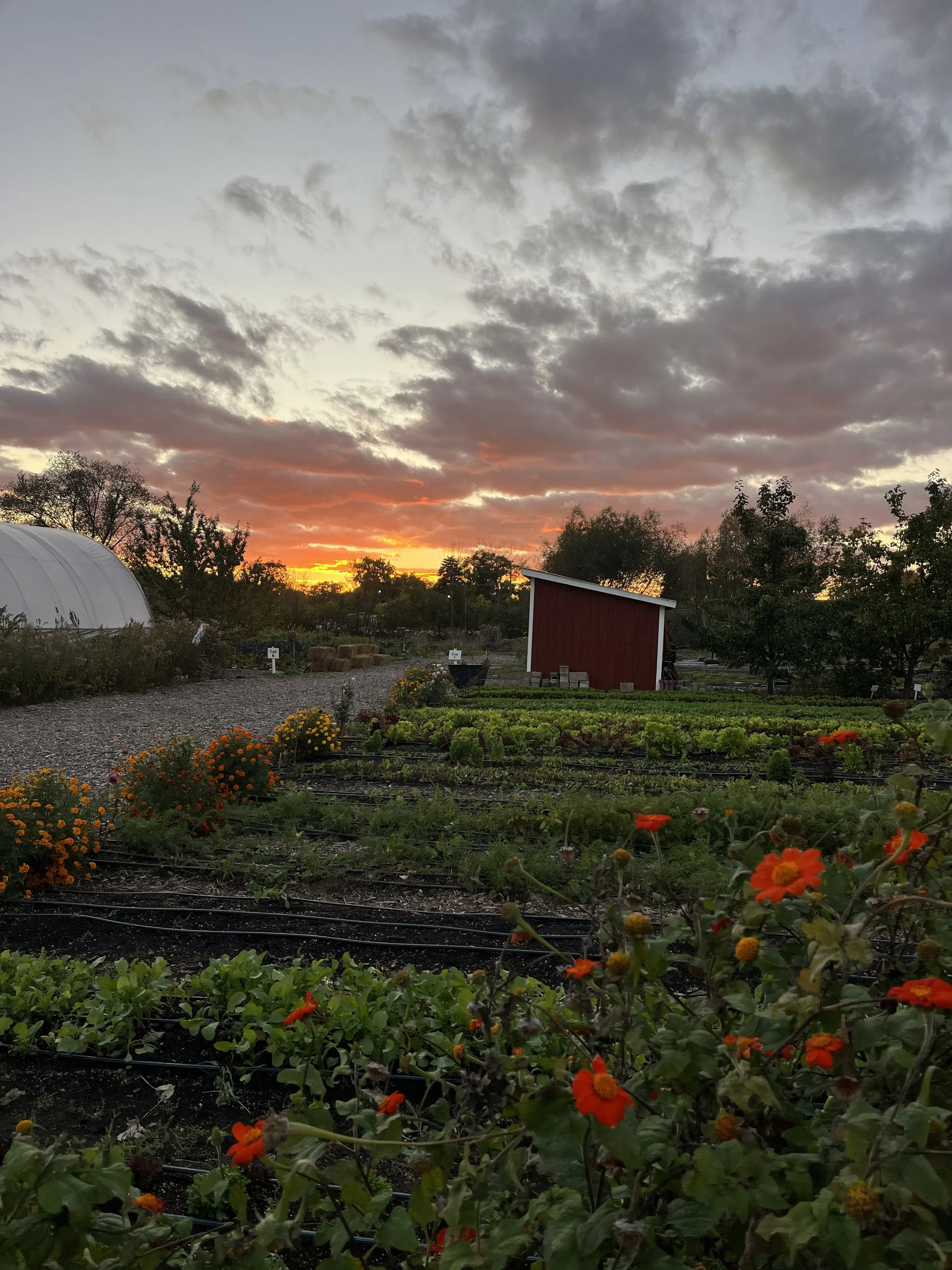Crunchy Crew Meetup at The Talking Farm