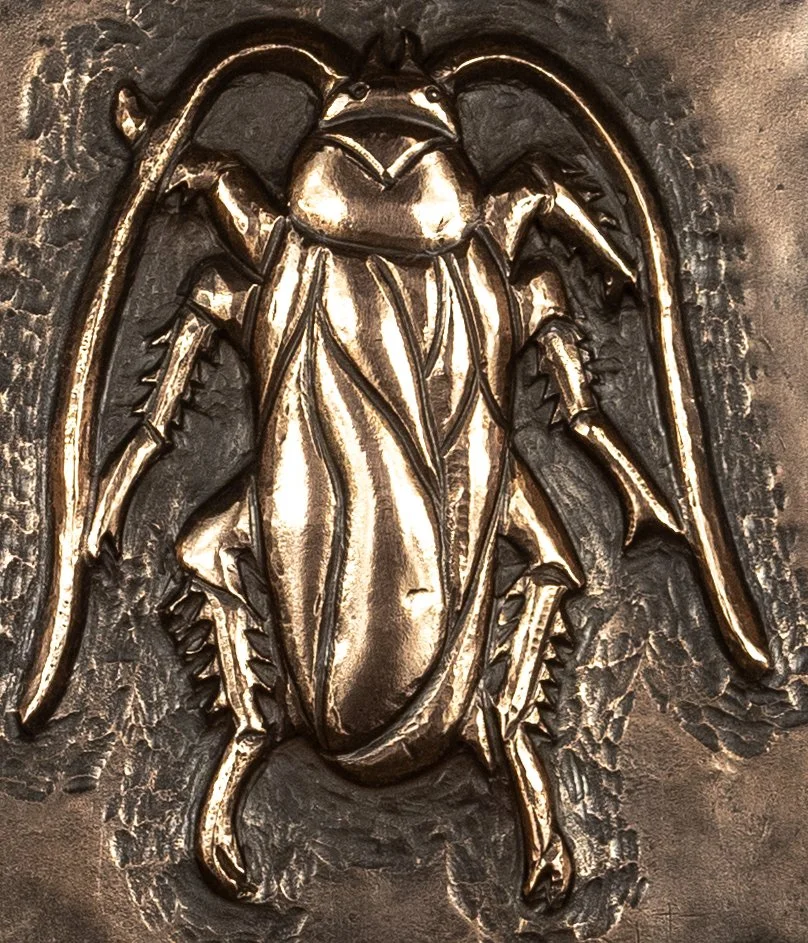 cockroach1detail.jpg