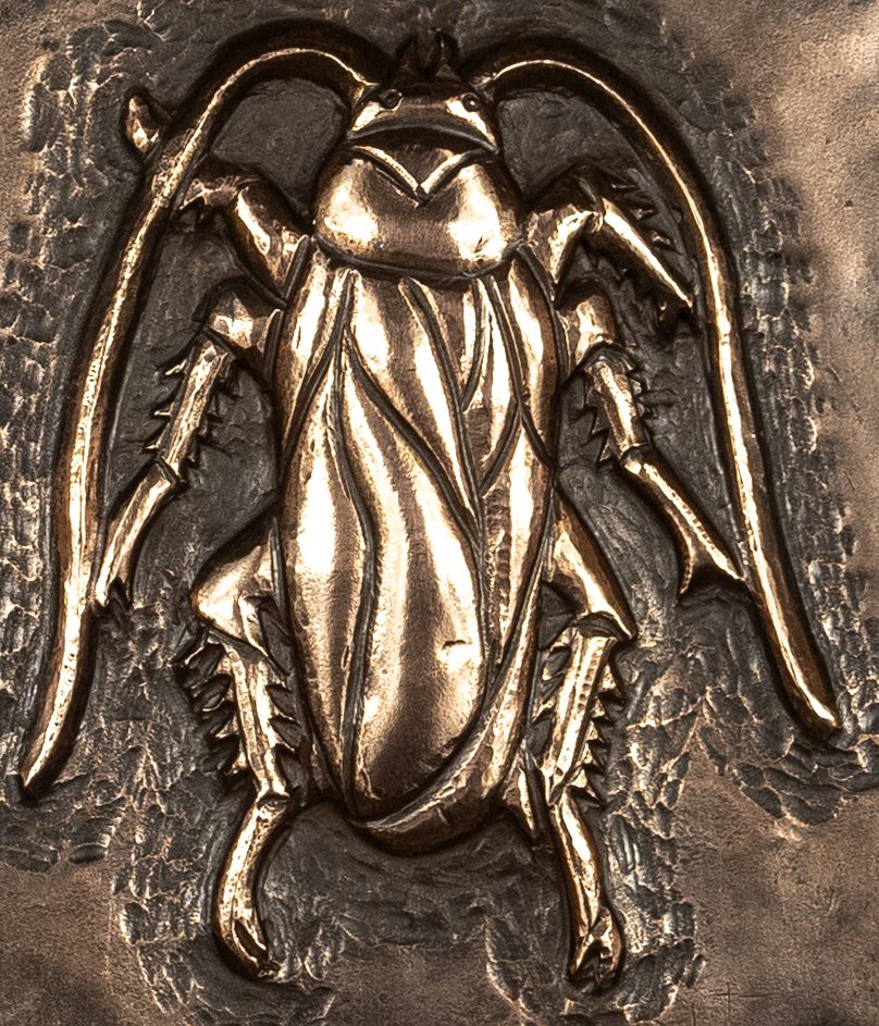 cockroach1detail.jpg