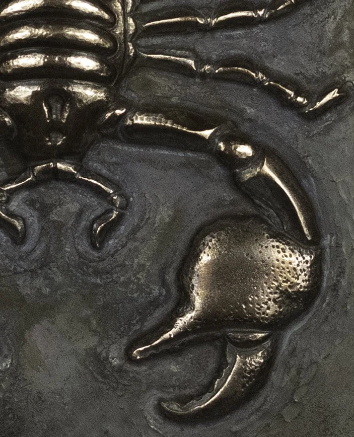 scorpion-2detail copy.jpg