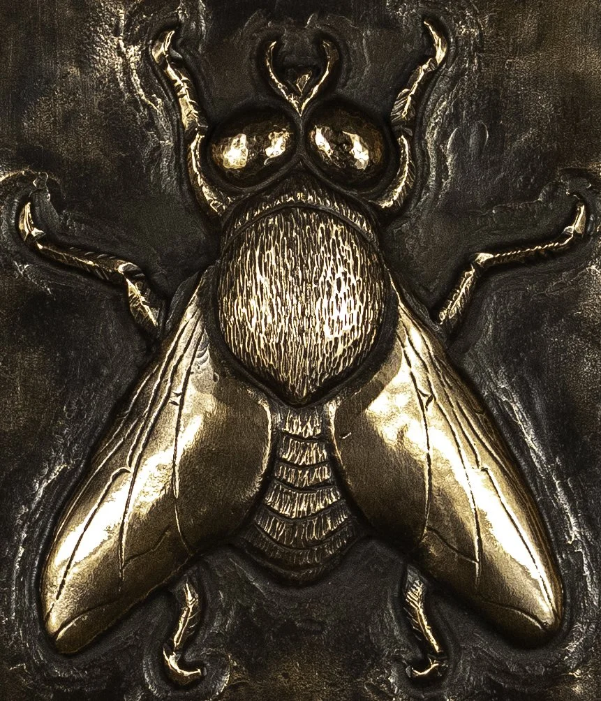 houseflydetail copy.jpg