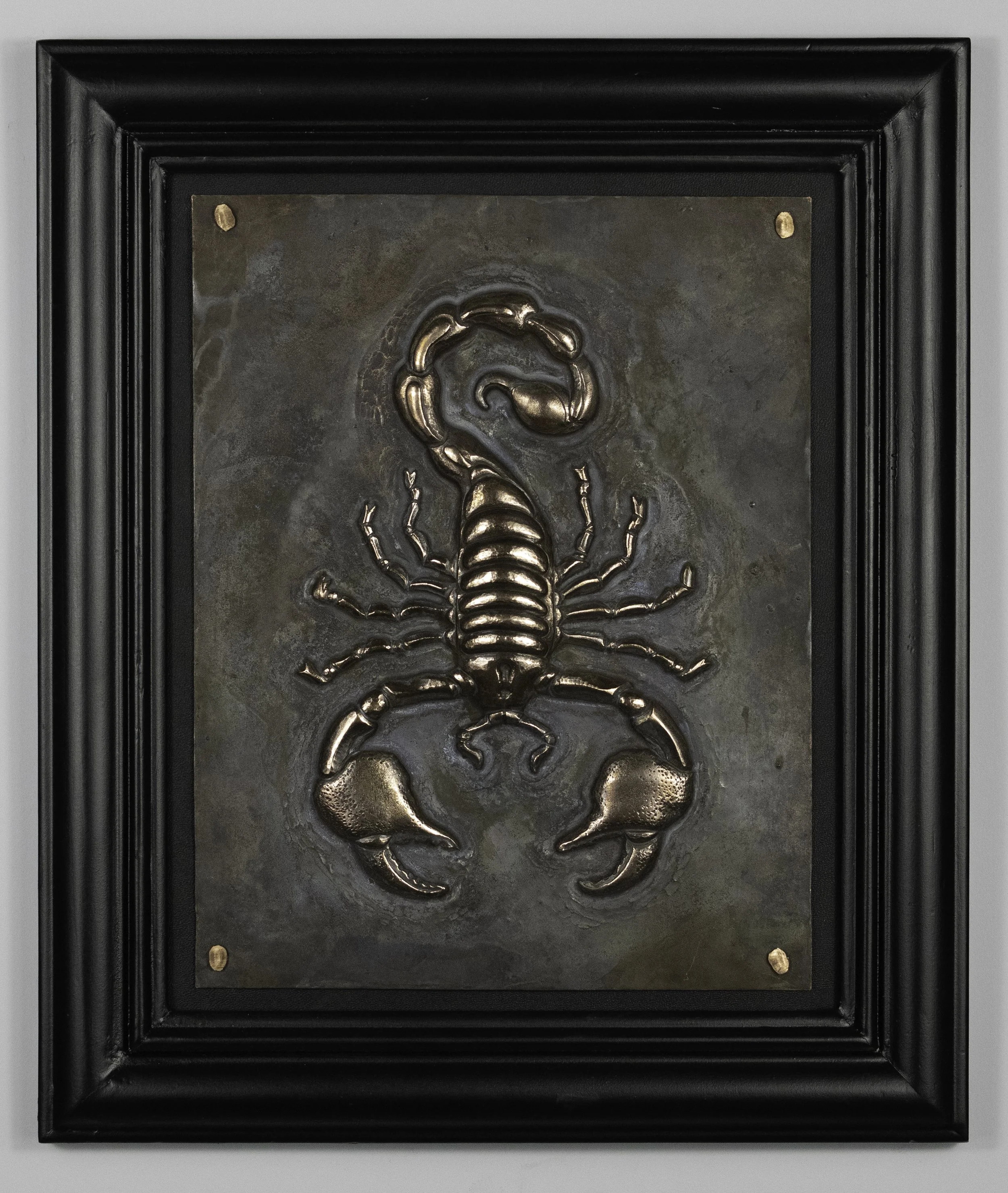 scorpion-2 copy.jpg