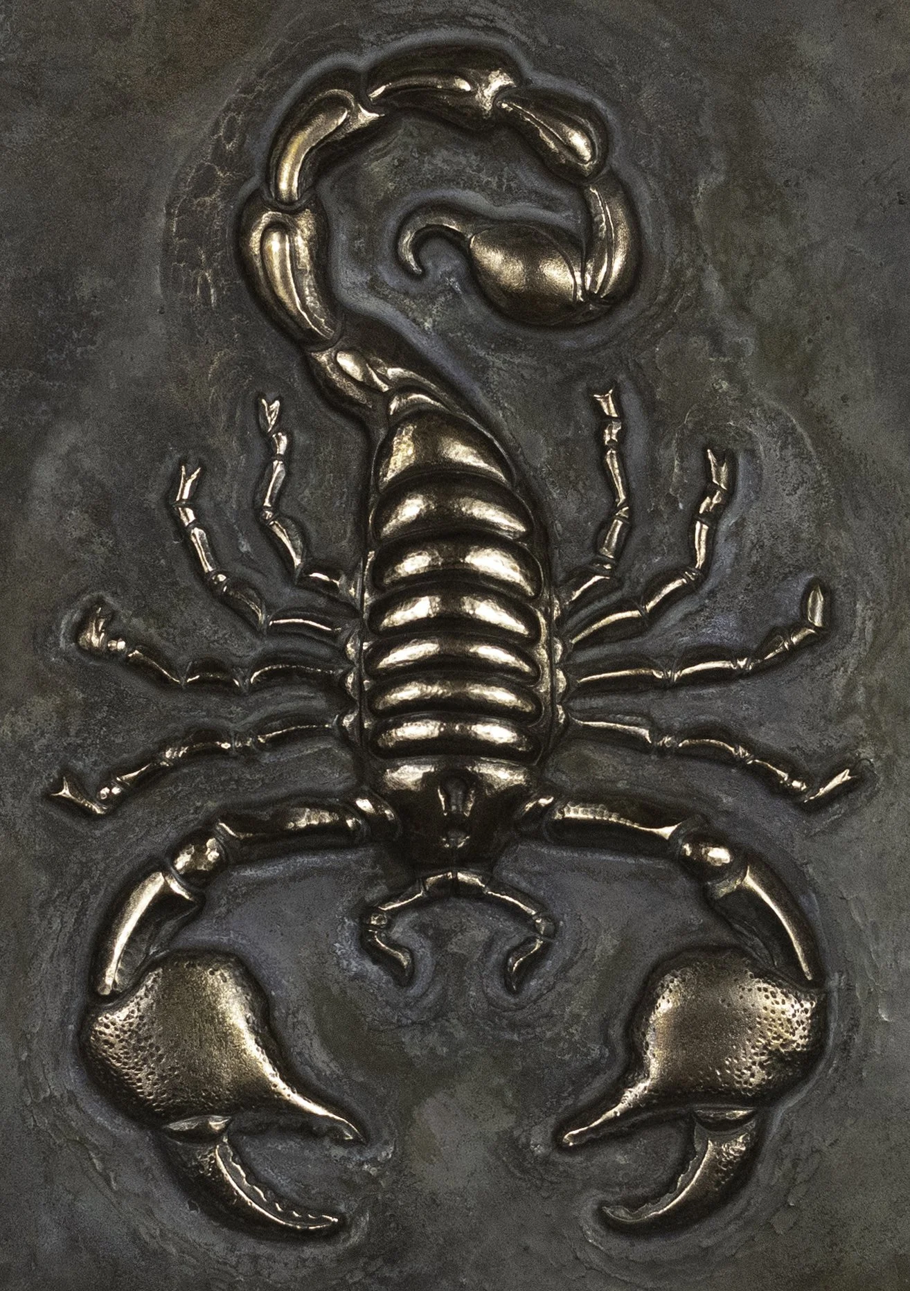 scorpion-2 closecopy.jpg