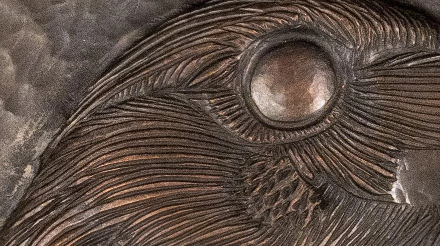 right raven detail2.jpg