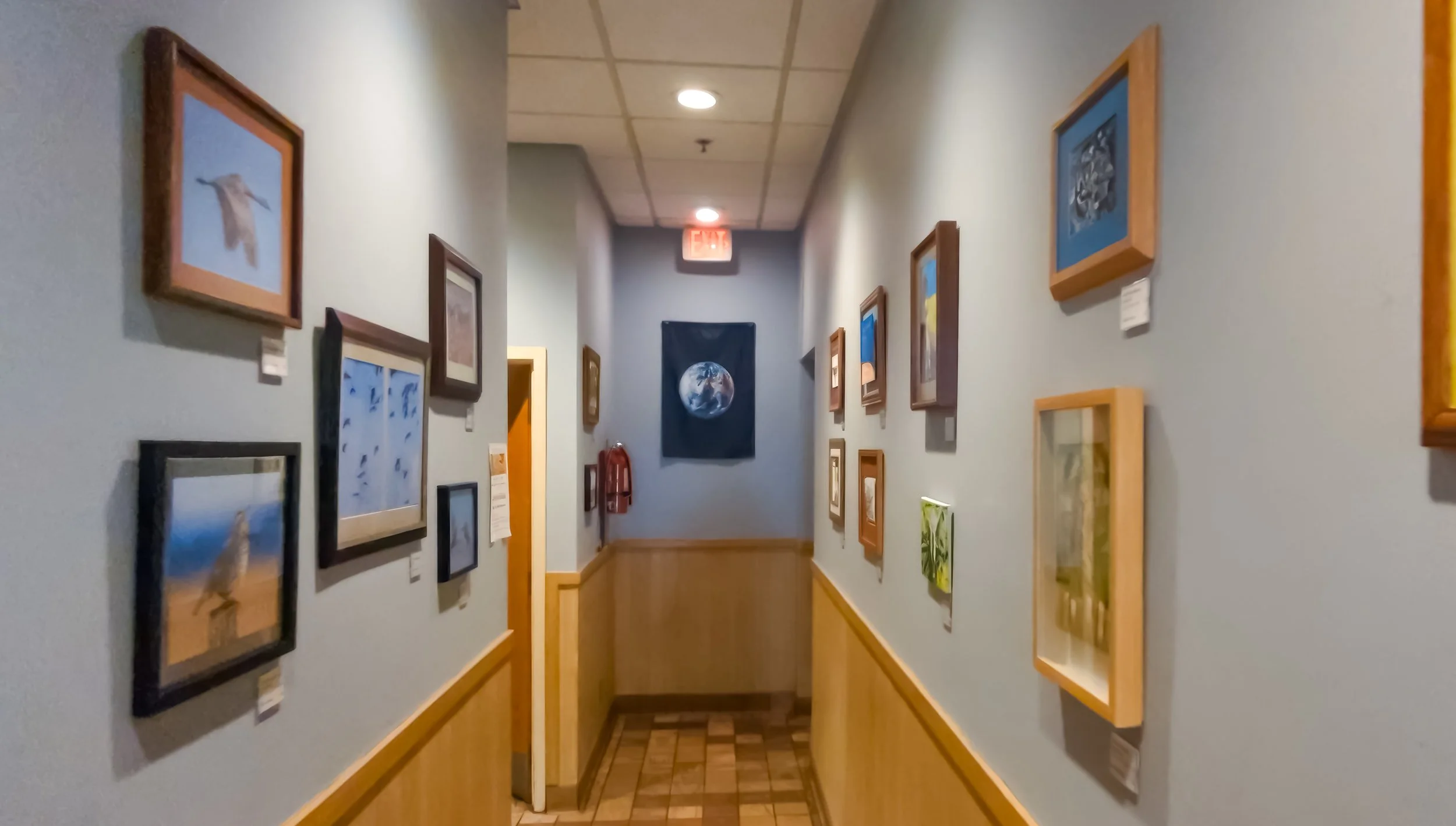 Exhibitions