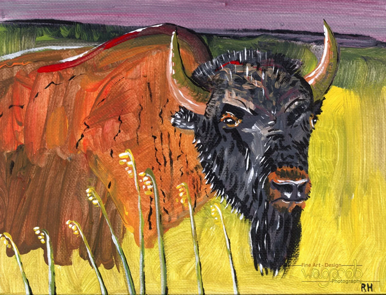THRO Bison