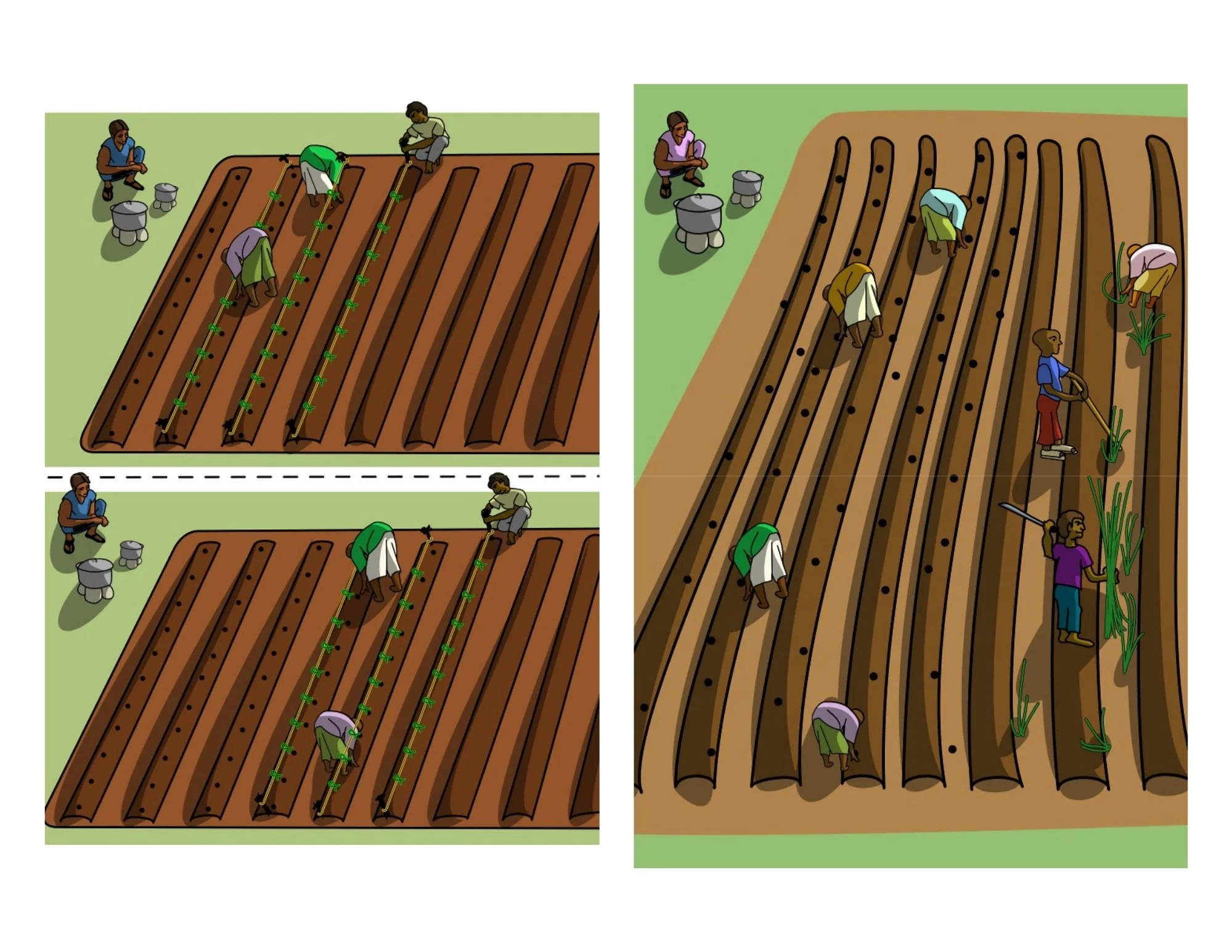 Planting the fields.