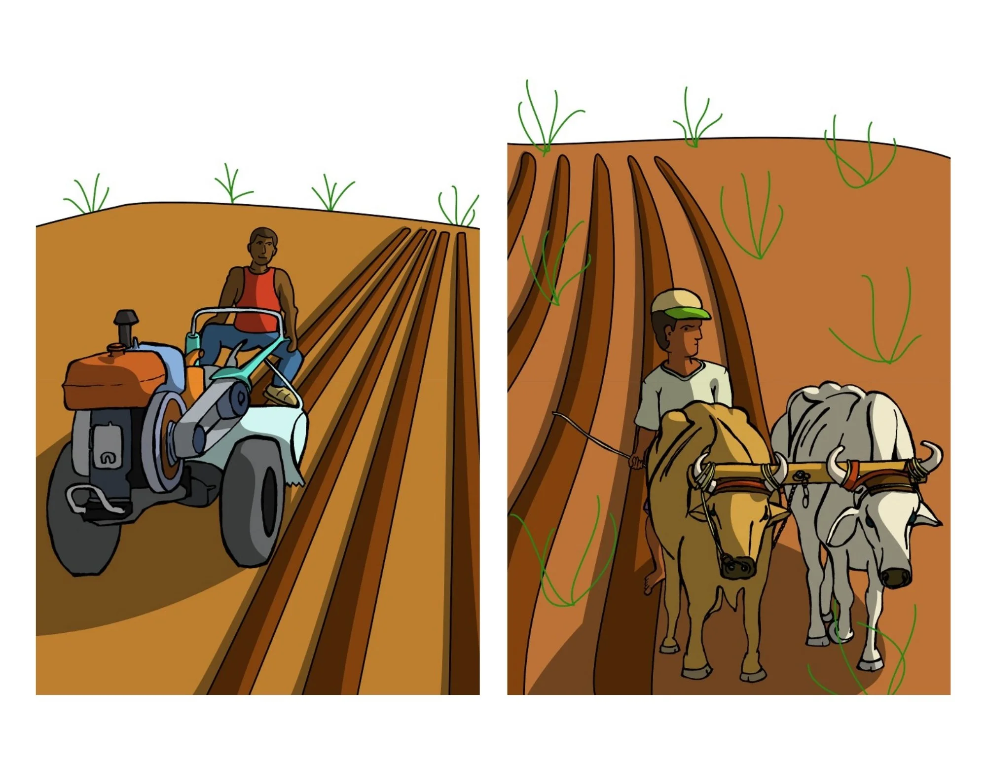Preparing the fields.