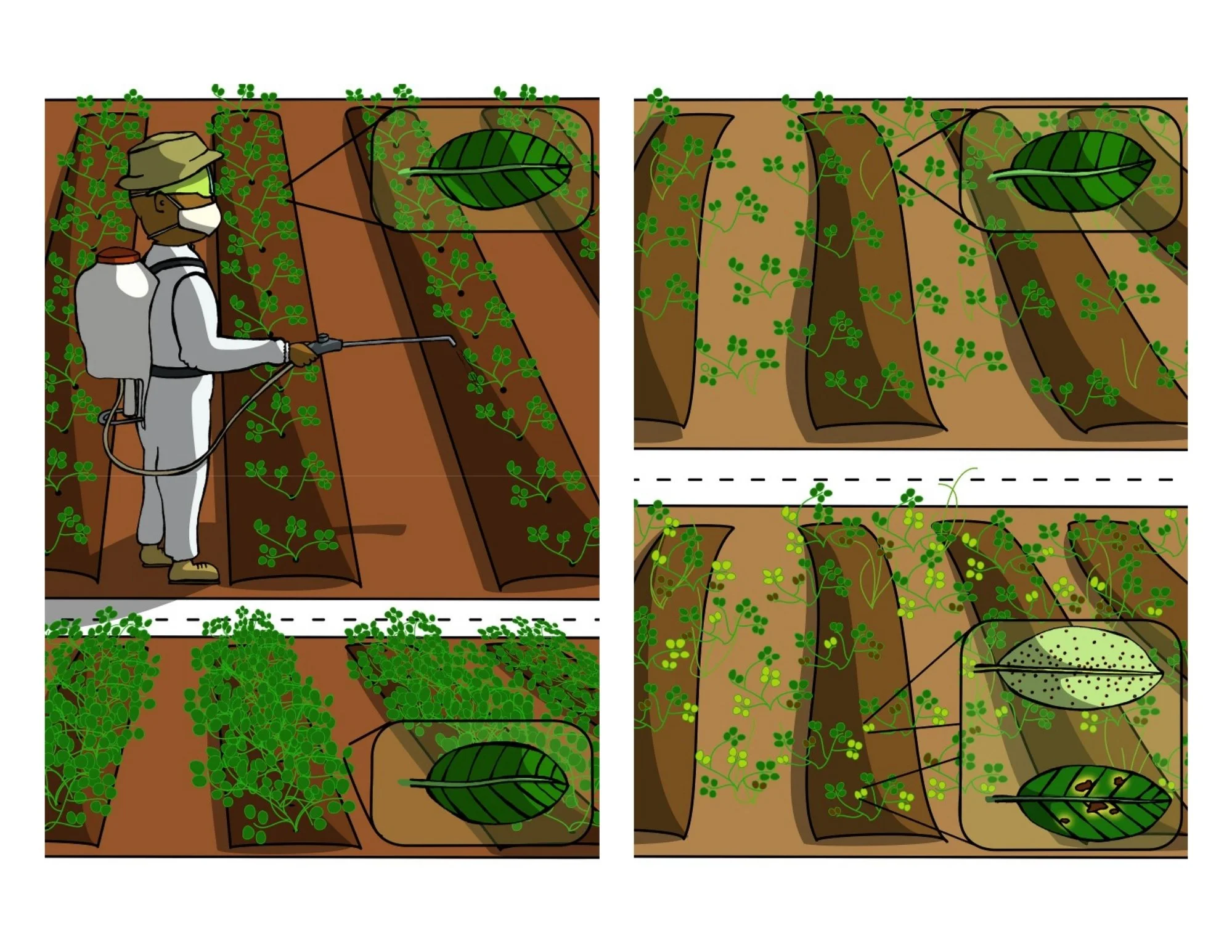 Applying pesticides/insecticides.