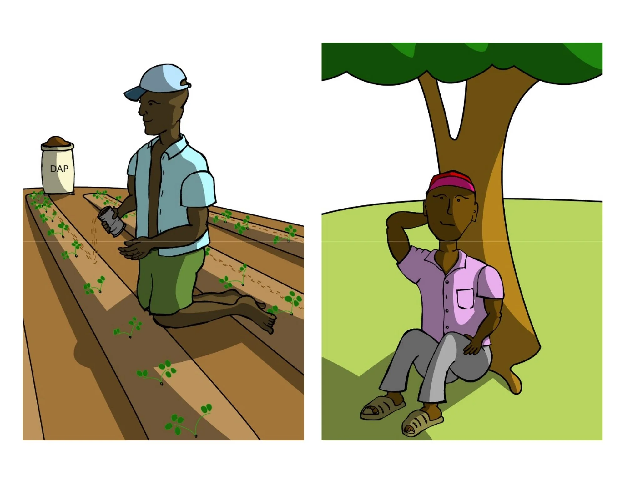 Adding fertilizer.