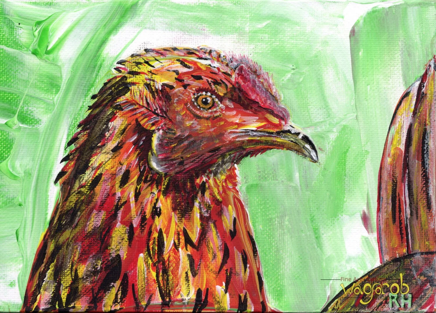 Chicken Named "Hawk"