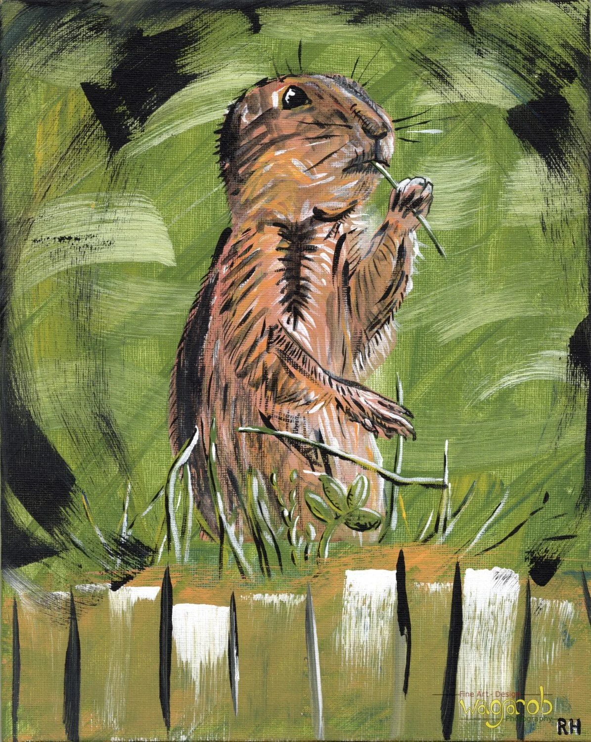 Fear and Loathing in Prairie Grass