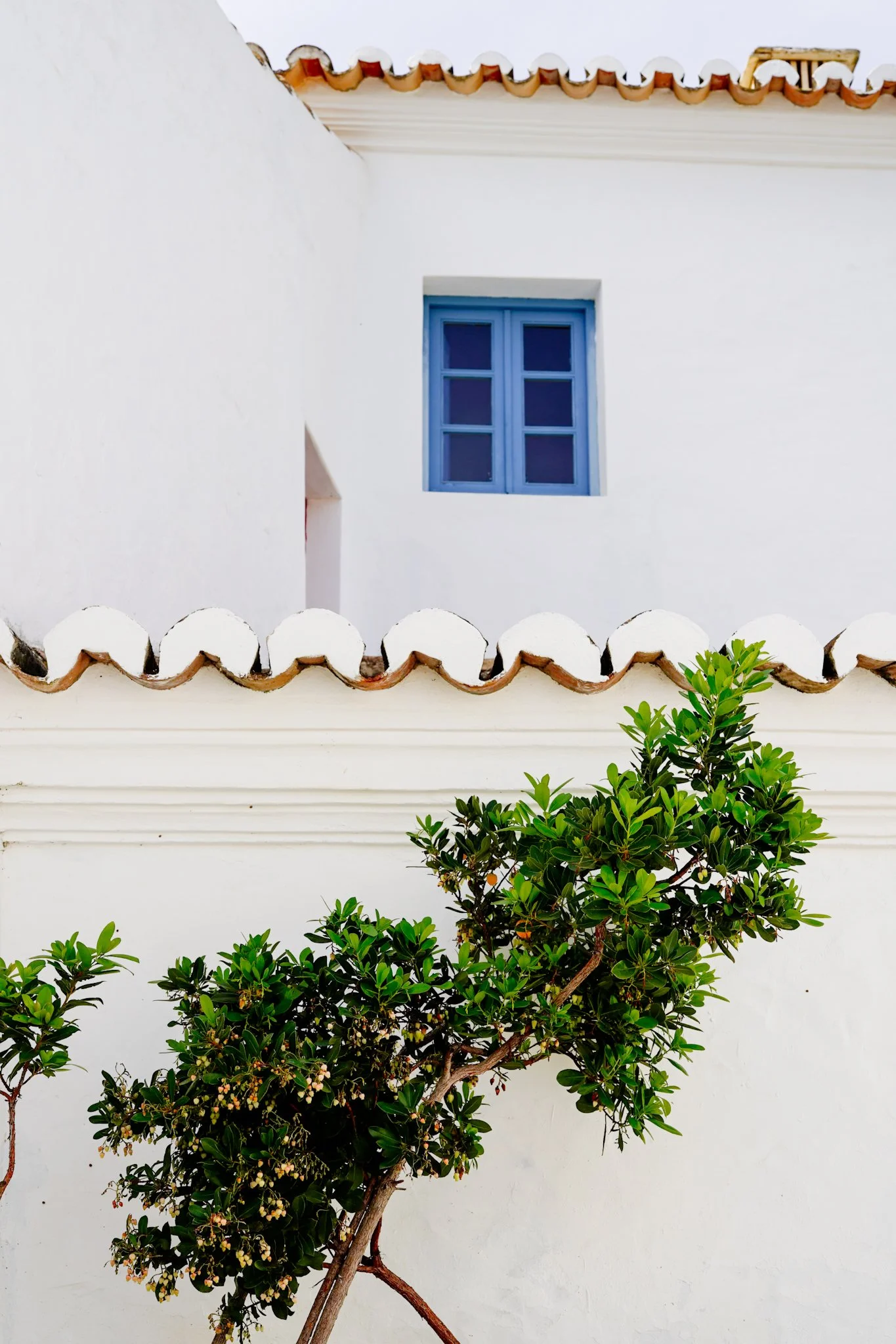 Projeto realizado para Villa Alvor (Grupo Aveleda) durante meu período como Designer Multimédia na Aveleda, S.A.
© Aveleda, S.A. - Todos os direitos reservados.