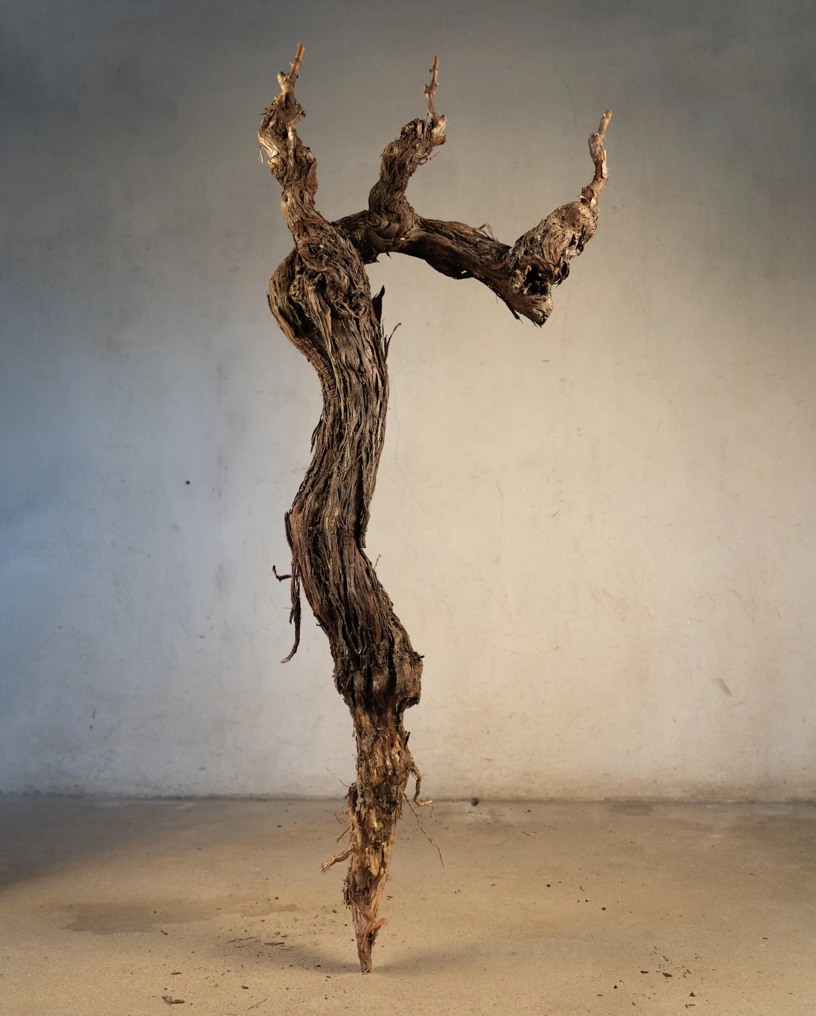 Projeto realizado para Quinta Vale D. Maria (Grupo Aveleda) durante meu período como Designer Multimédia na Aveleda, S.A.
© Aveleda, S.A. - Todos os direitos reservados.