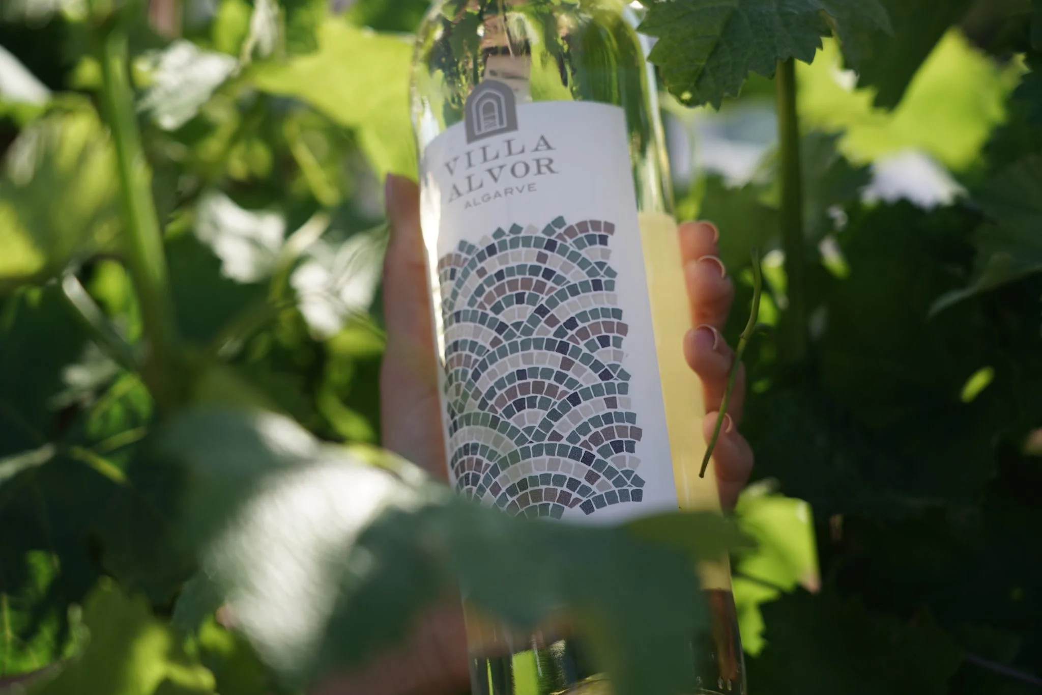 Projeto realizado para Villa Alvor (Grupo Aveleda) durante meu período como Designer Multimédia na Aveleda, S.A.
© Aveleda, S.A. - Todos os direitos reservados.