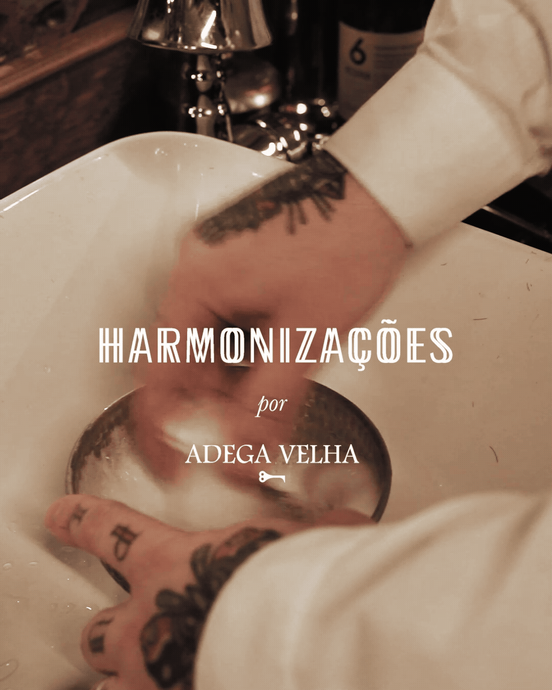 Projeto realizado para Adega Velha (Grupo Aveleda) durante meu período como Designer Multimédia na Aveleda, S.A.
© Aveleda, S.A. - Todos os direitos reservados.