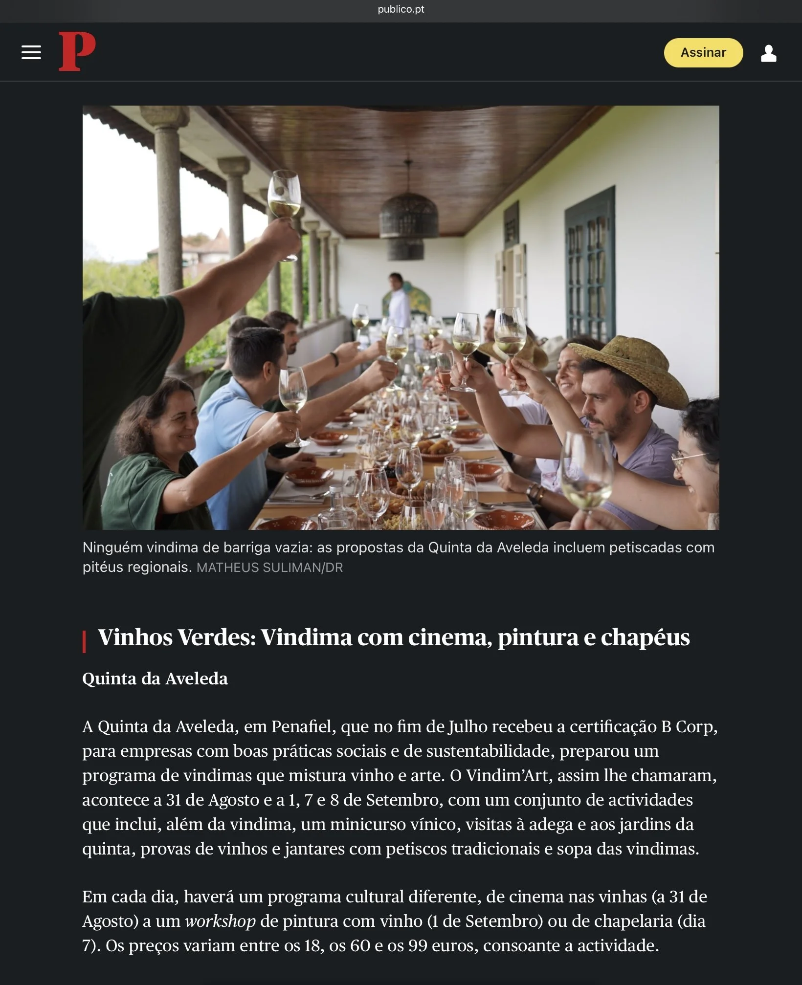 Fotografia de Matheus Suliman aplicada na imprensa. Pessoas ao longo de uma mesa ao ar livre brindando com copos de vinho branco Aveleda, com uma varanda ao fundo.